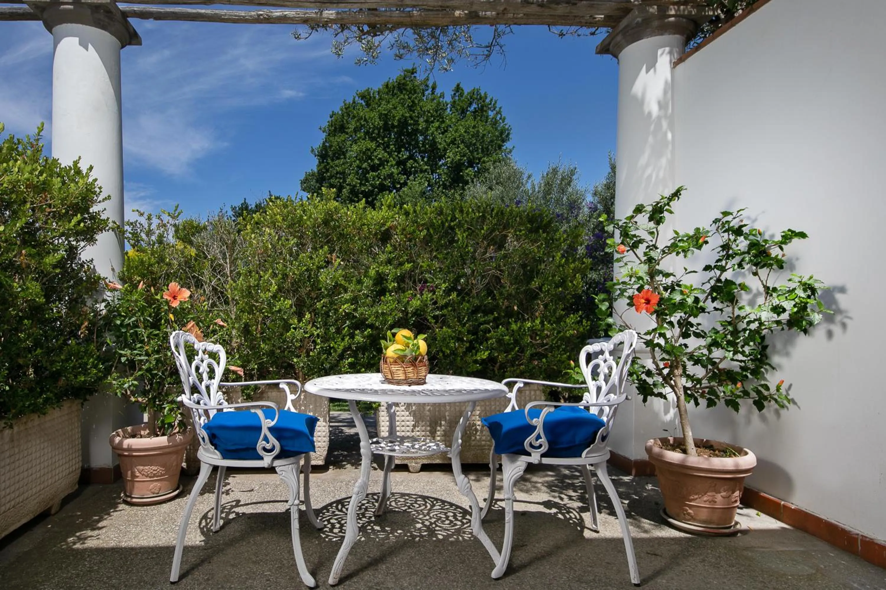 Balcony/Terrace in Hotel Al Mulino