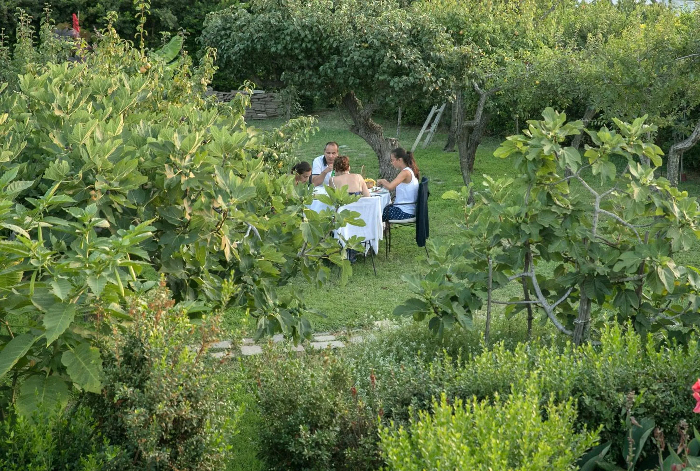 Day in Hotel Al Mulino - Mediterranean Hideaway