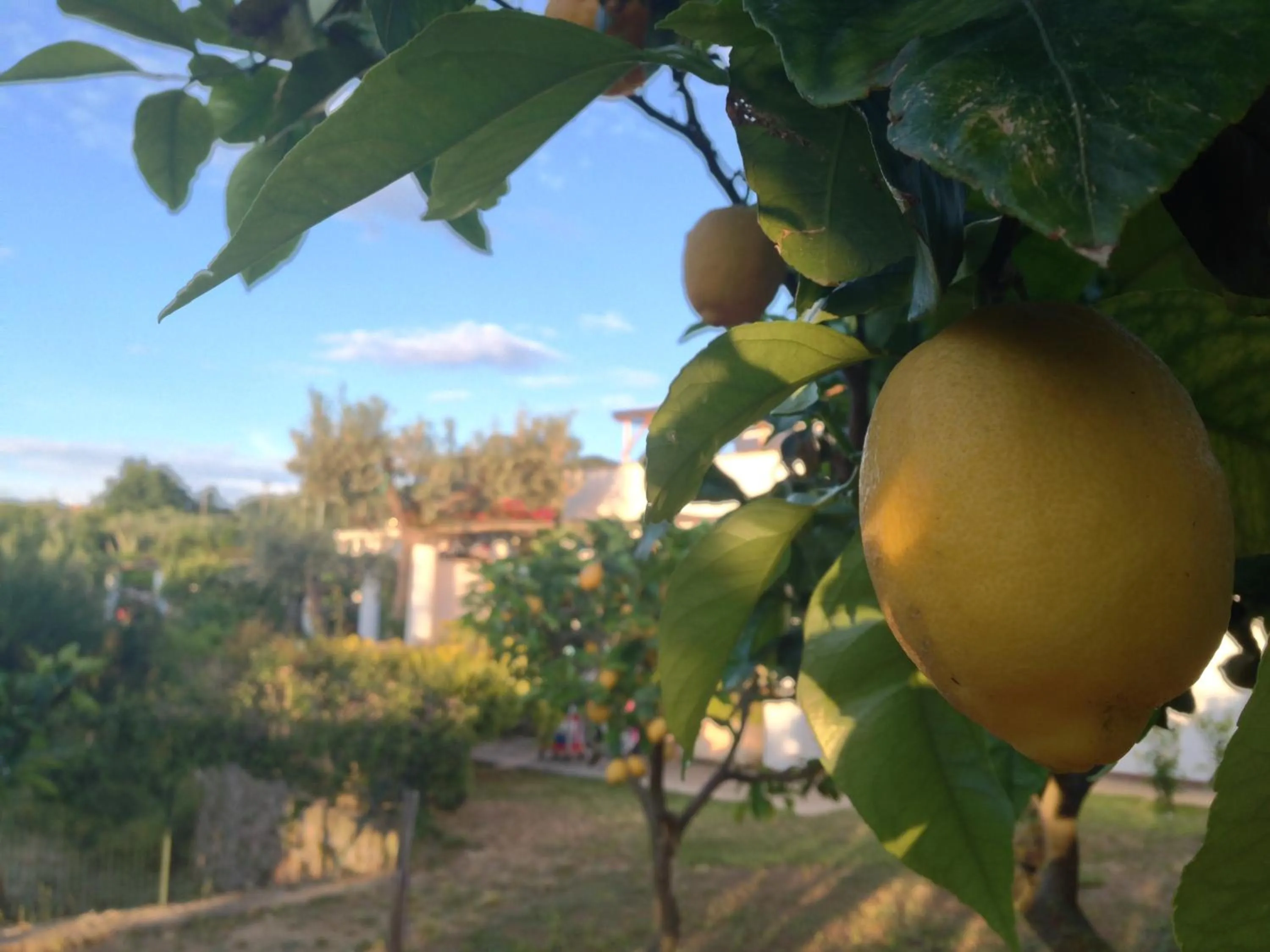 Spring in Hotel Al Mulino