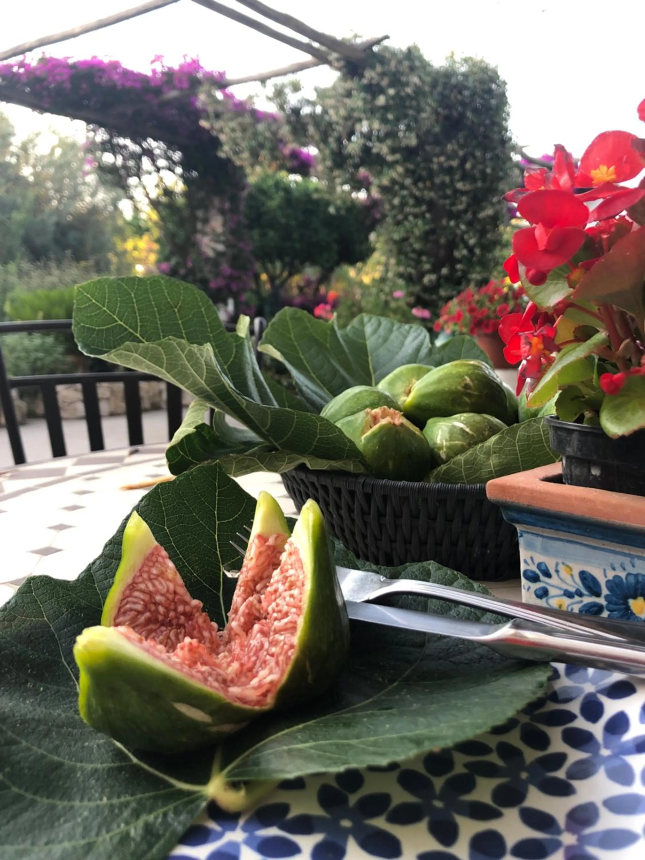 Patio in Hotel Al Mulino
