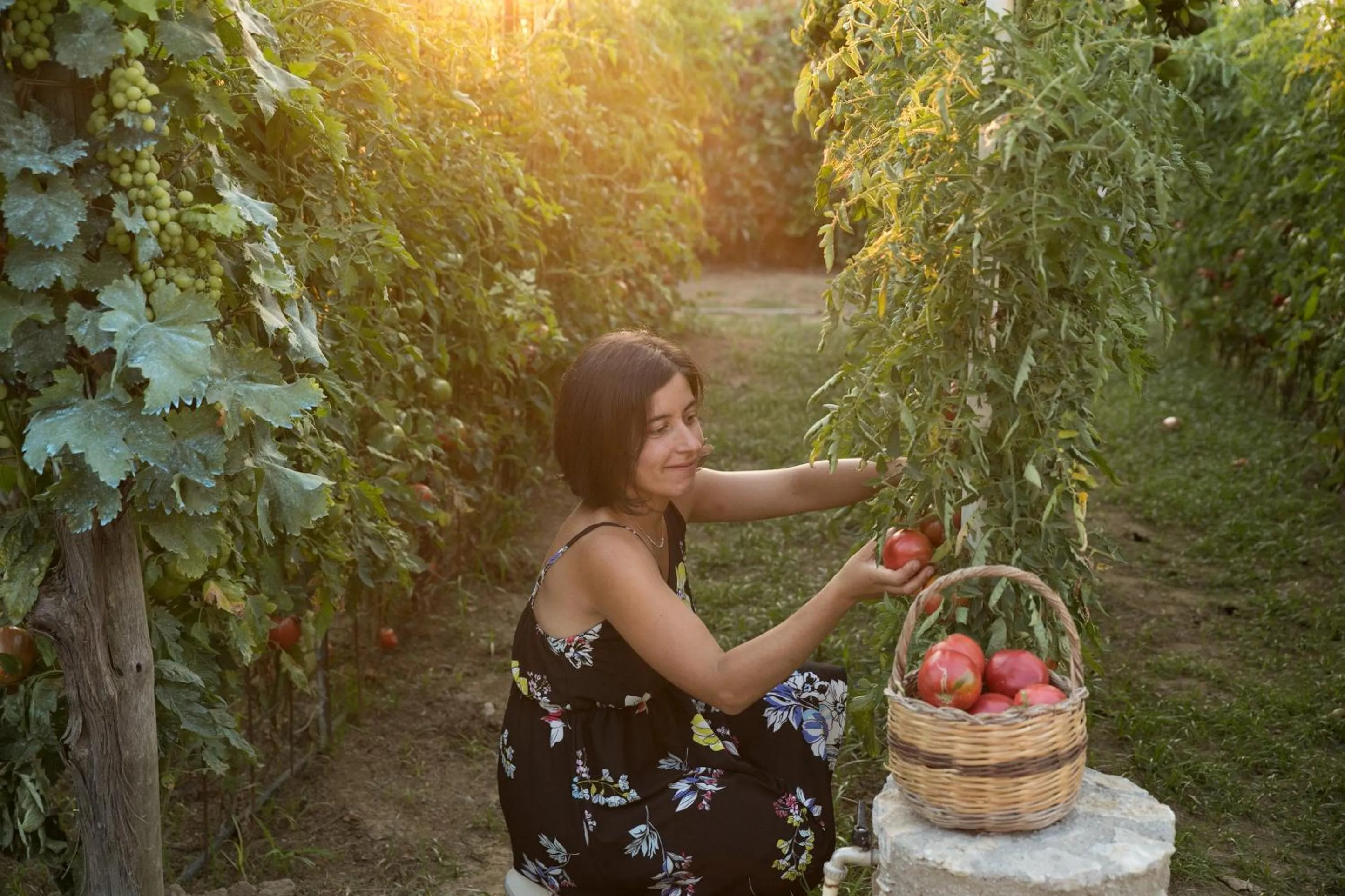 Garden in Hotel Al Mulino