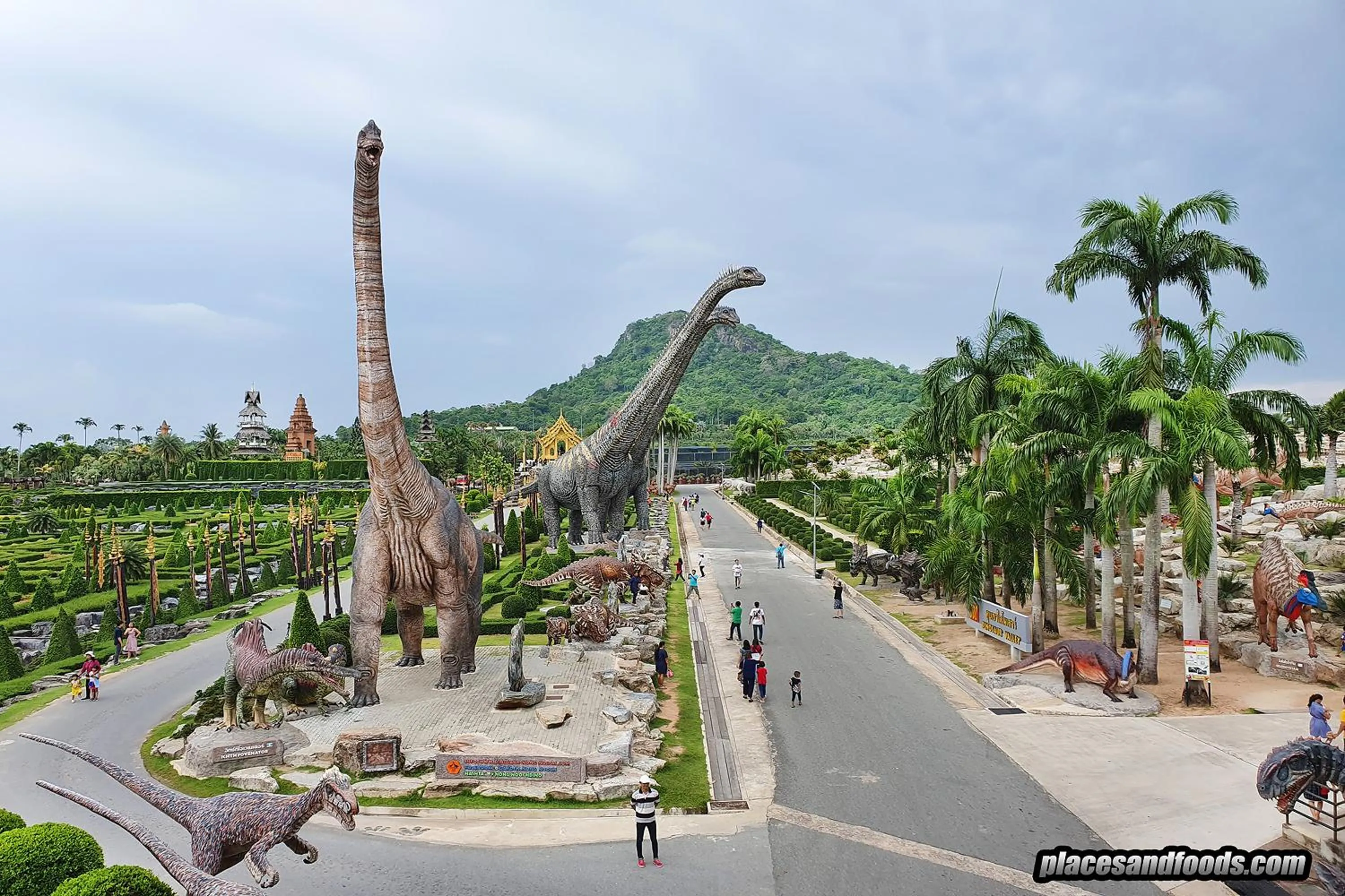 Entertainment in The Ring Border