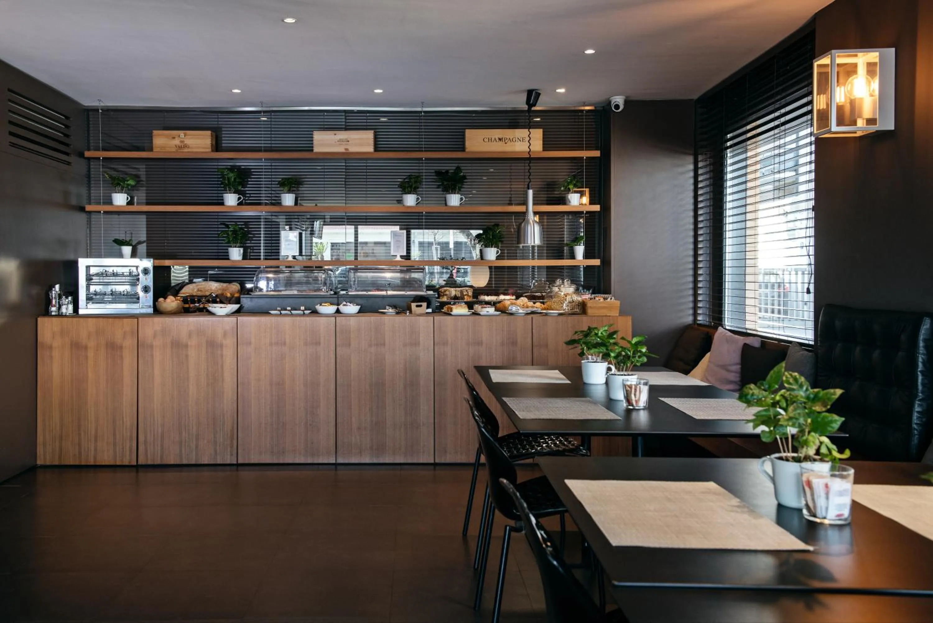 Area and facilities in Hotel Salus