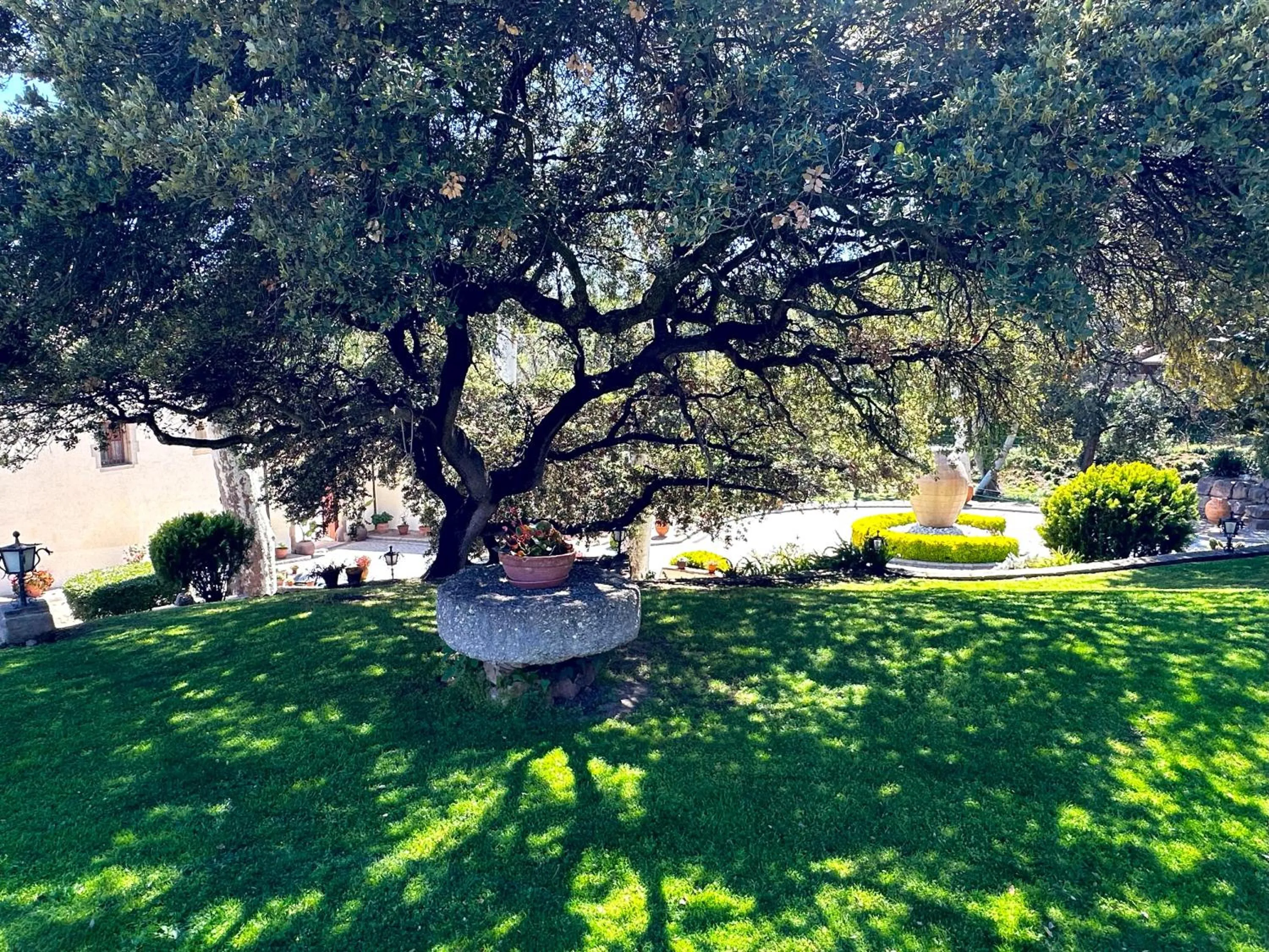 Garden in Masia Can Viver - Olive oil tourism B&B