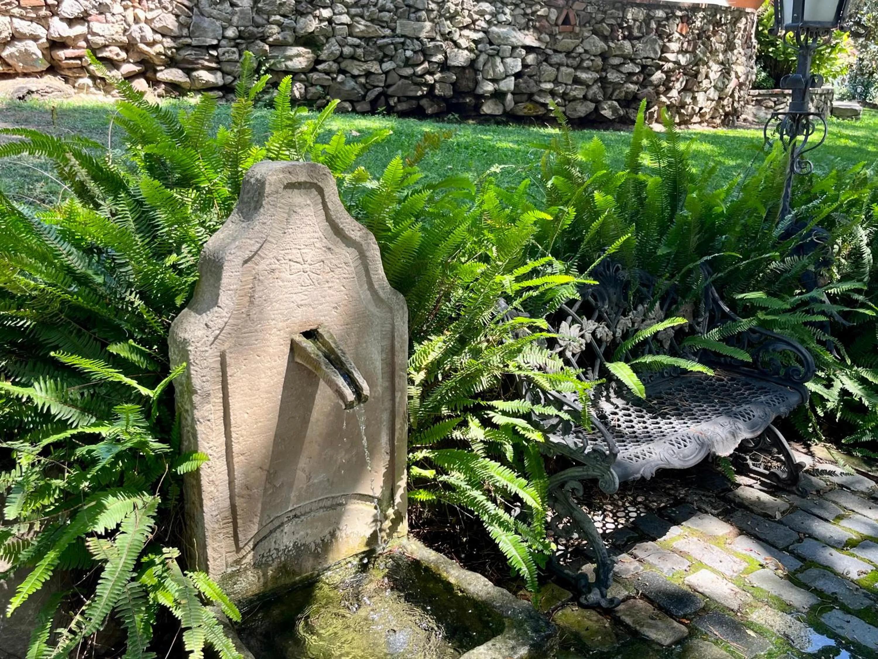 Garden in Masia Can Viver - Olive oil tourism B&B