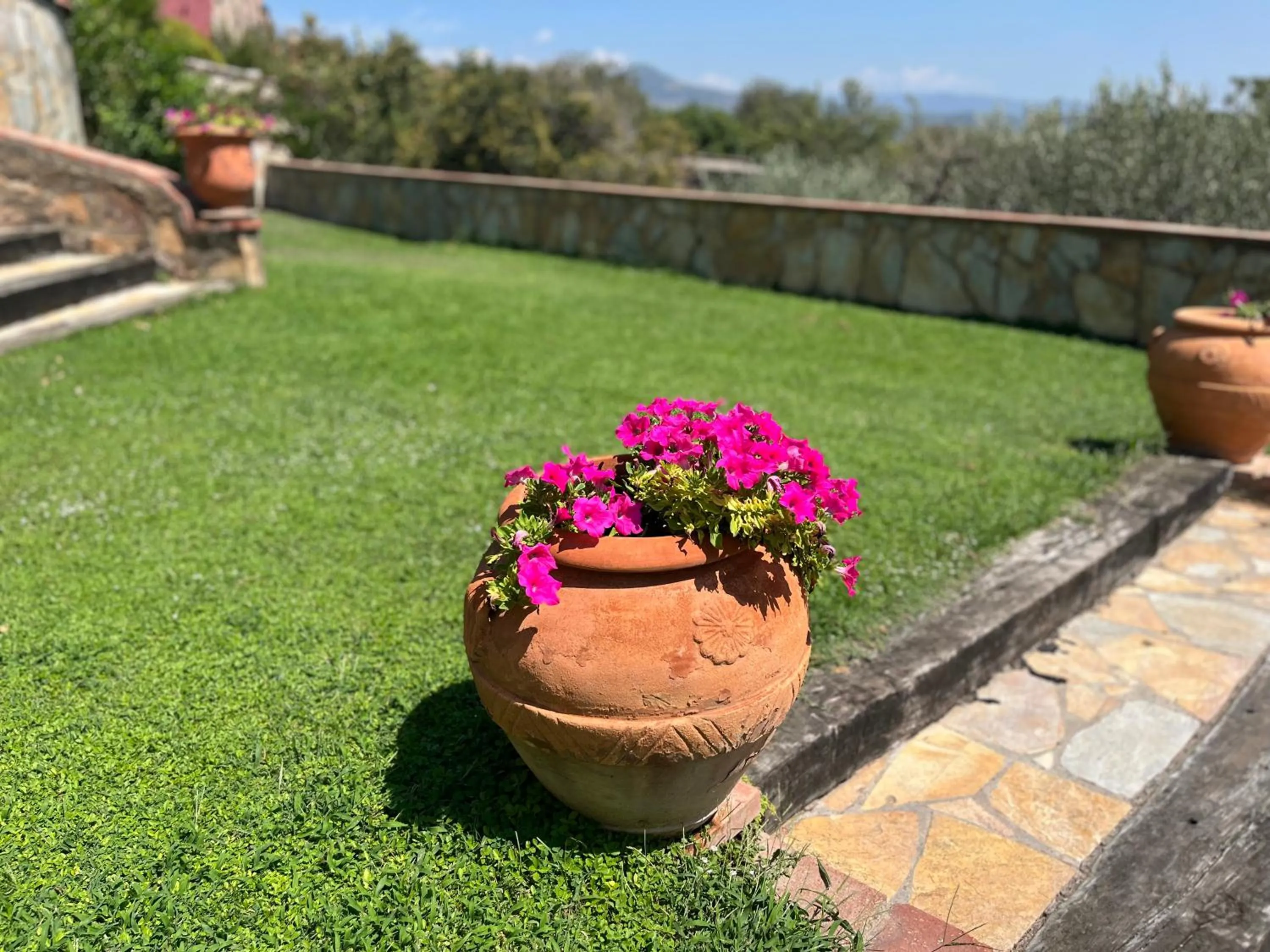 Garden in Masia Can Viver - Olive oil tourism B&B