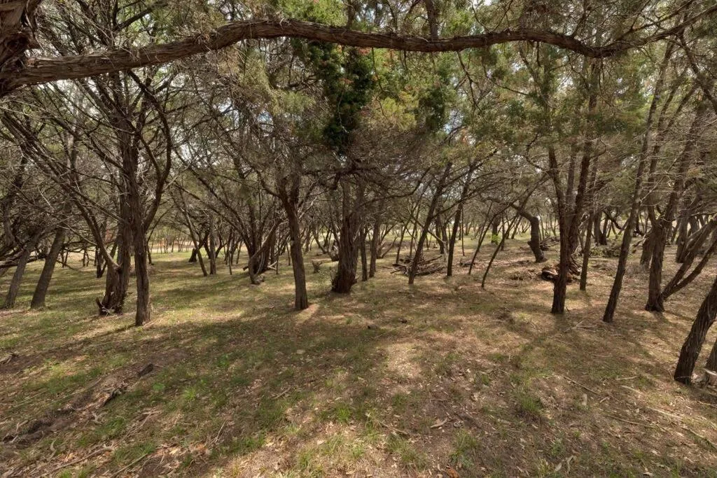 The Armadillo Cabin - Cabins At Rim Rock