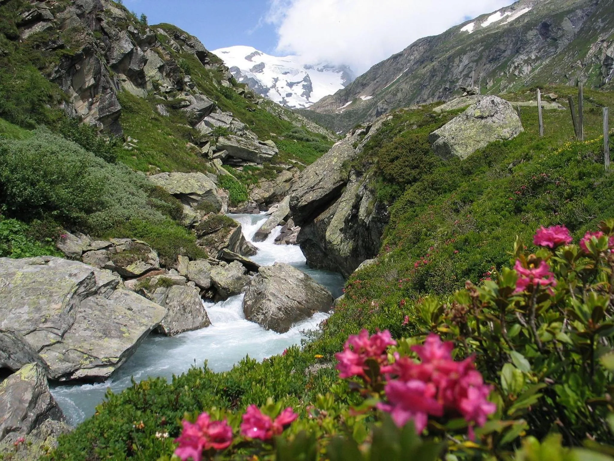 Area and facilities in Defereggental Hotel & Resort