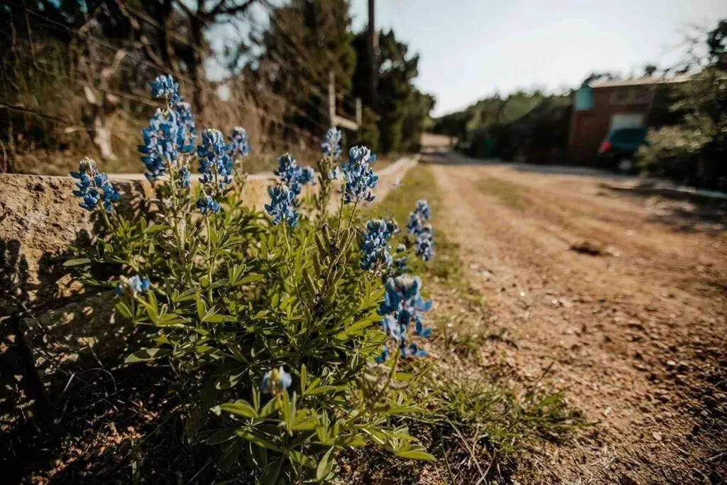 The Bobcat Cabin - The Cabins at Rim Rock