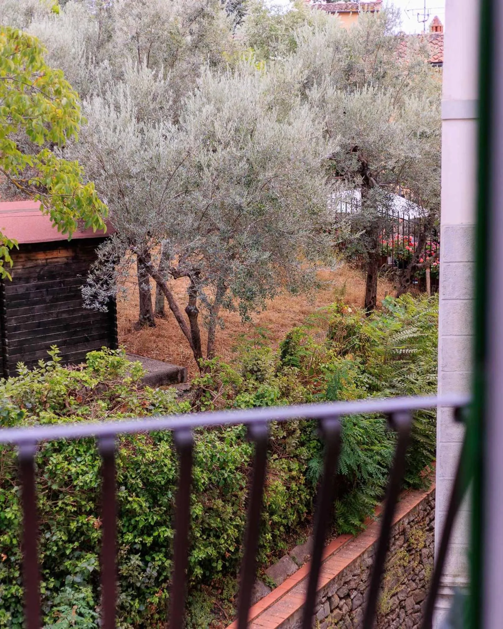 Garden view in Hotel Villa Bonelli