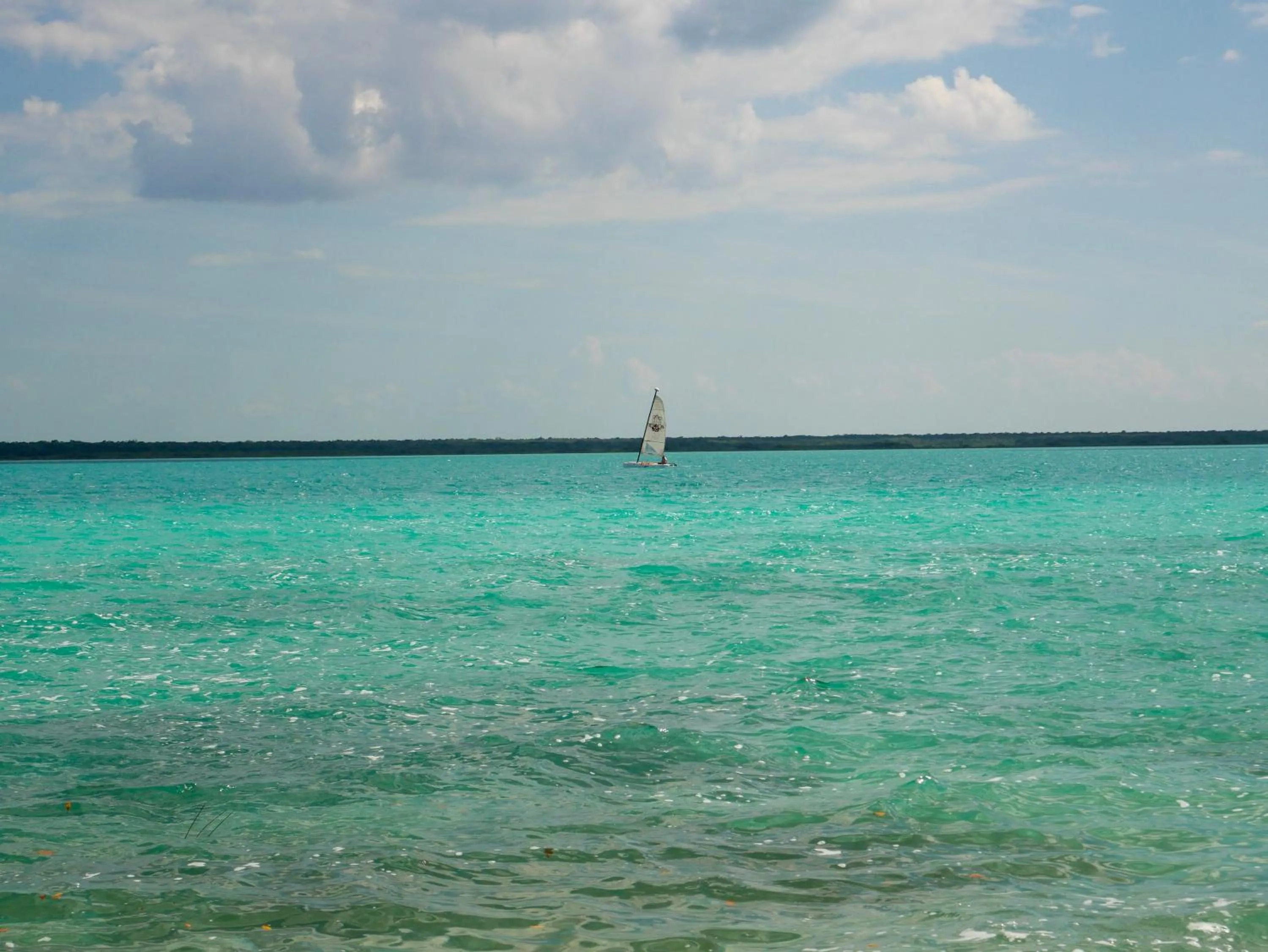 Natural landscape in Villa Santuario Lake front Oasis