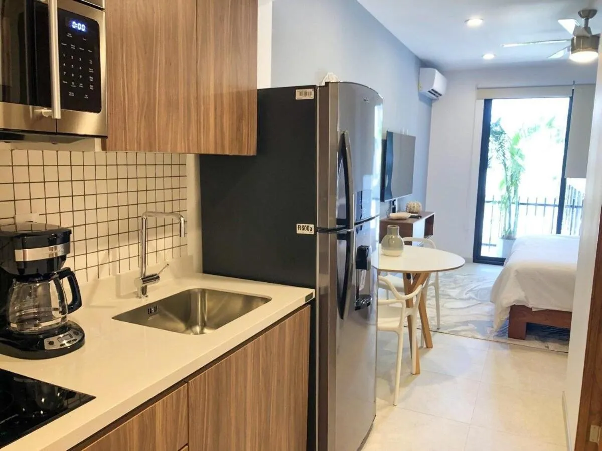 Deluxe Studio Aparment Mamitas Zone