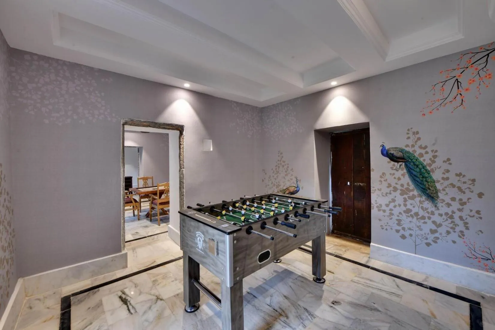 Game Room in The Fern Bambora Fort, Bambora, Udaipur