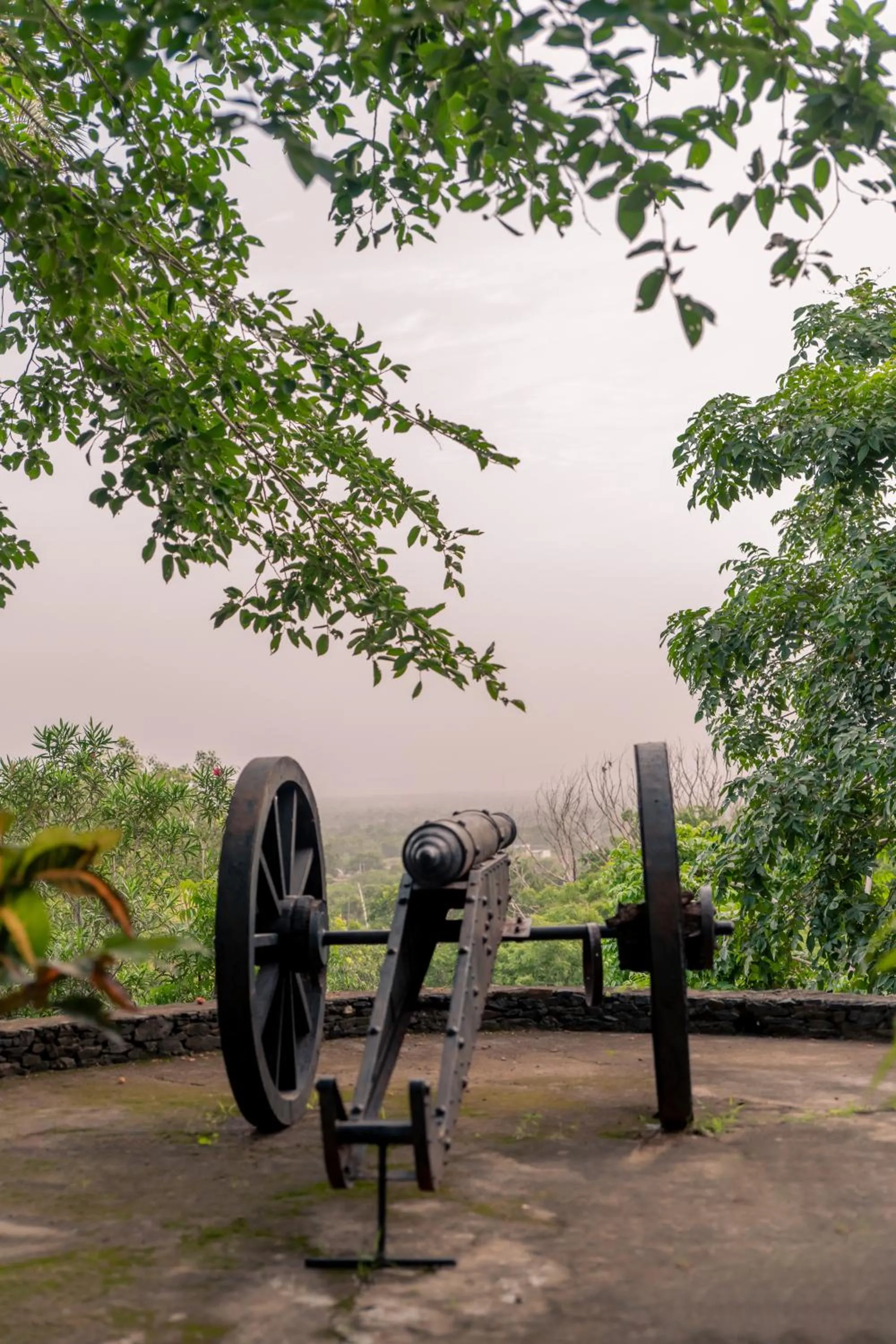 Other in The Fern Bambora Fort, Bambora, Udaipur