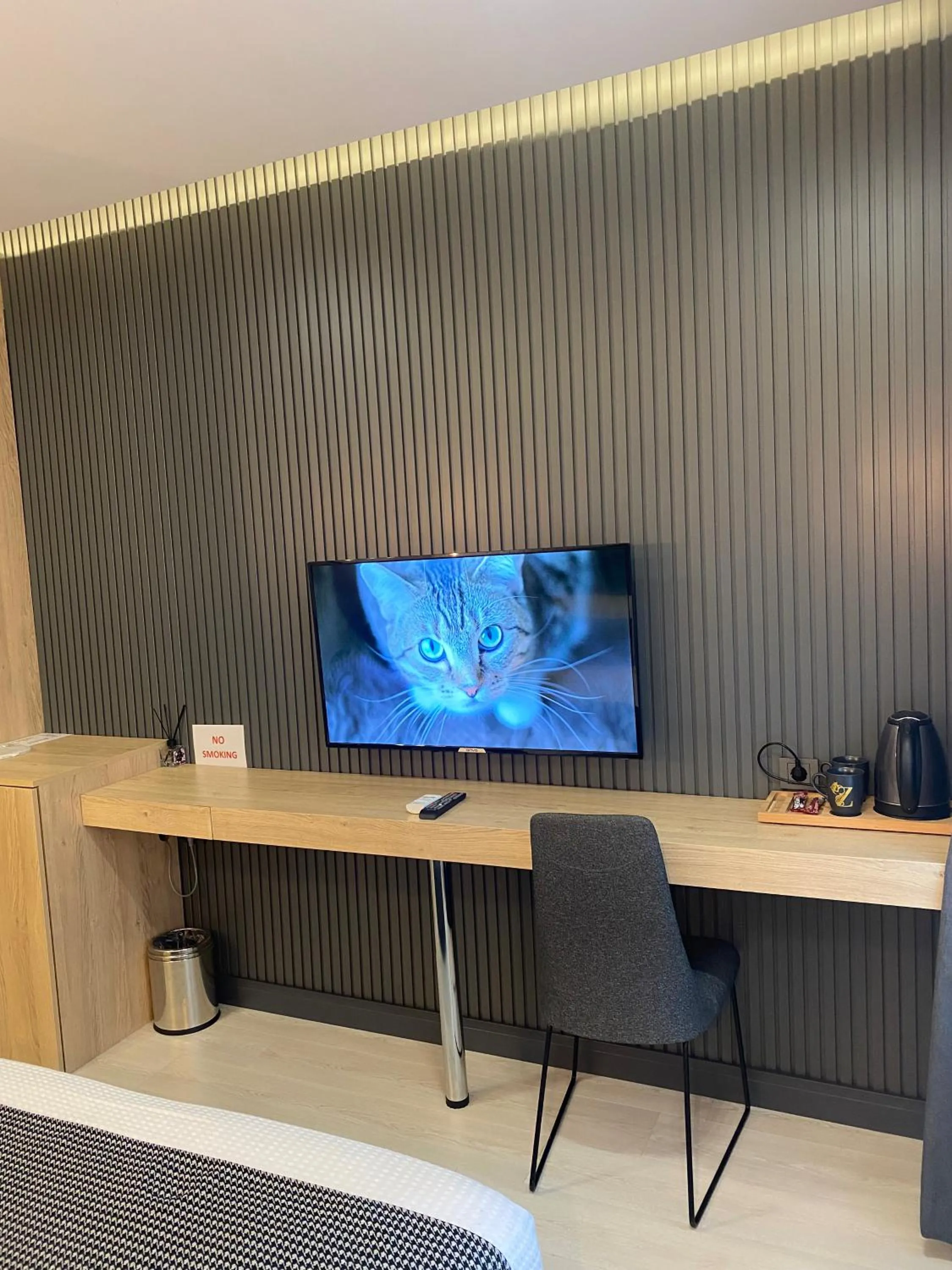 TV and multimedia in Santra Bosphorus Hotel