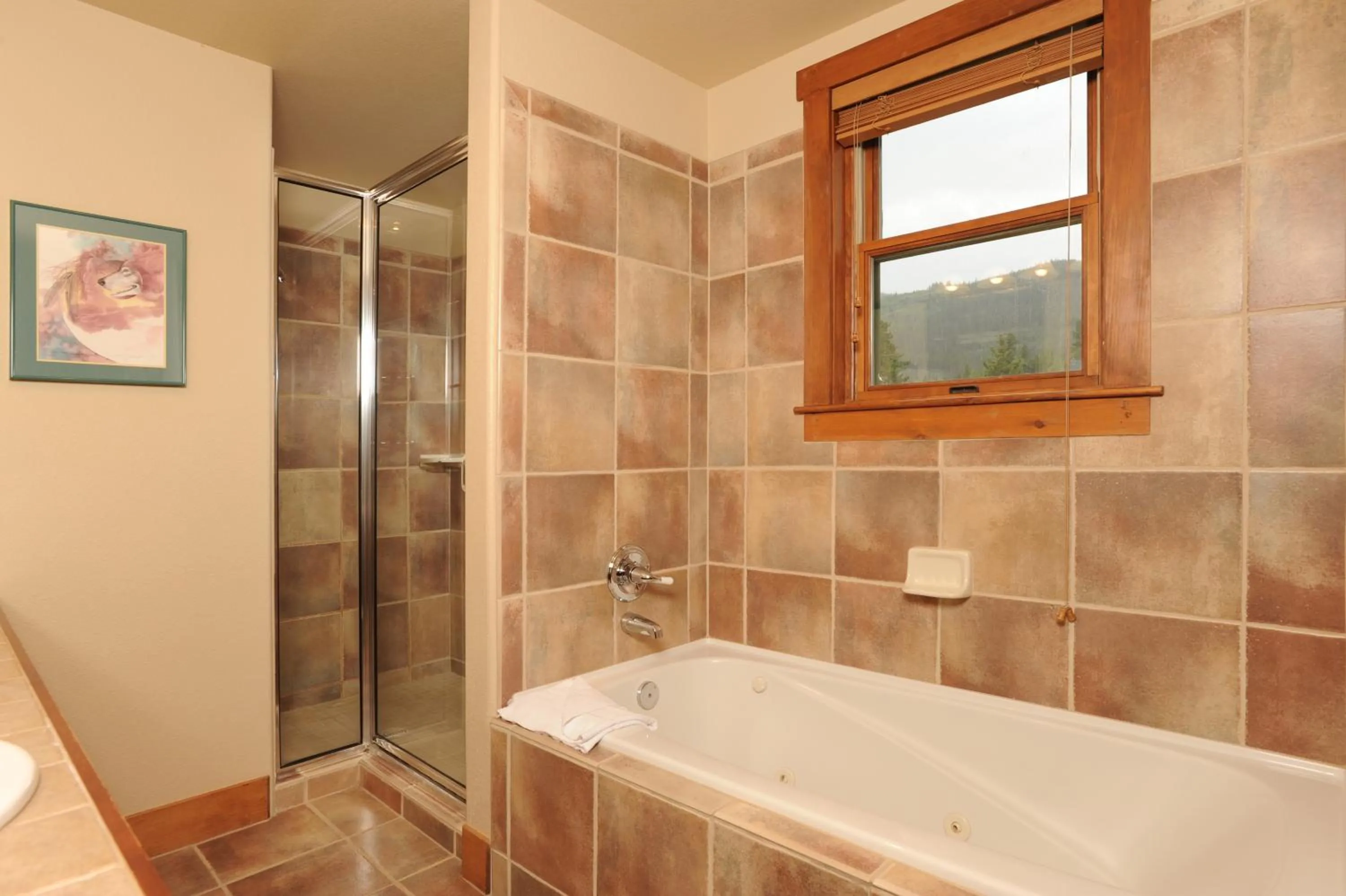 Red Hawk by Keystone Resort