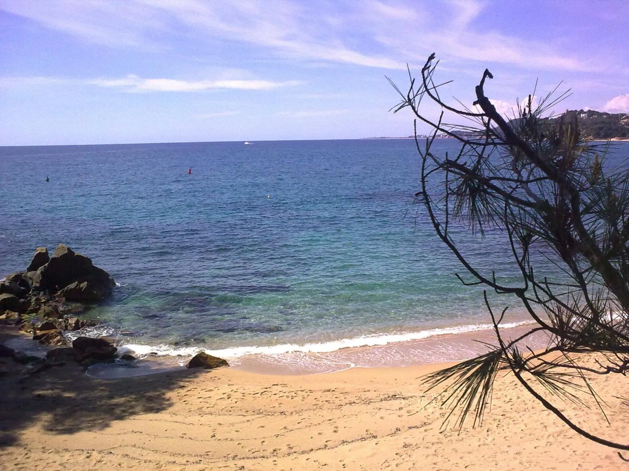 Area and facilities in Burlamacco Gold