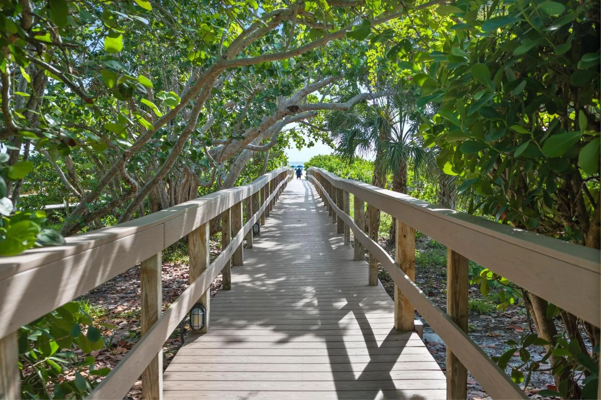 Natural landscape in Marco Beach Ocean Suites