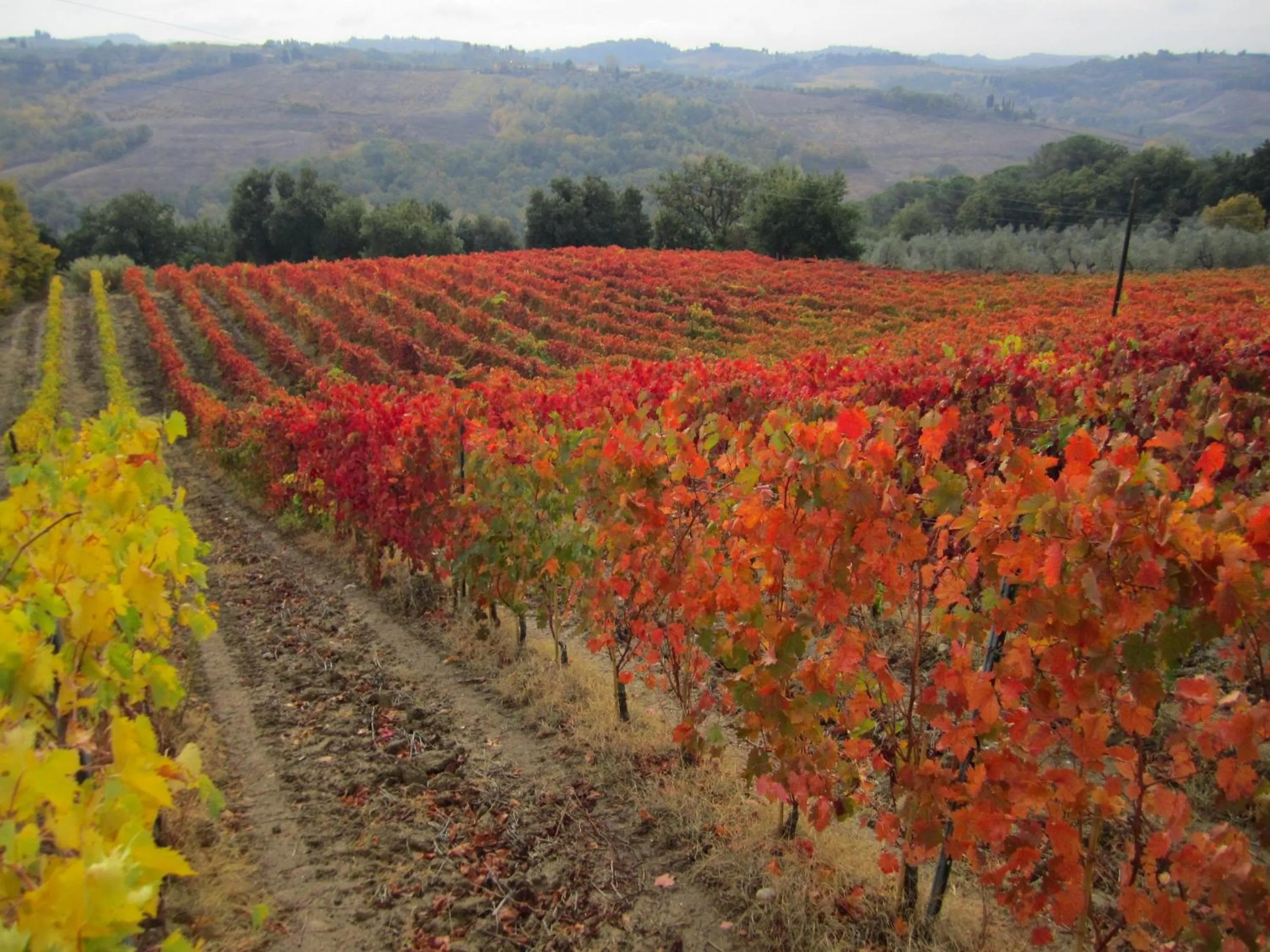 Natural landscape in Le Fonti A San Giorgio