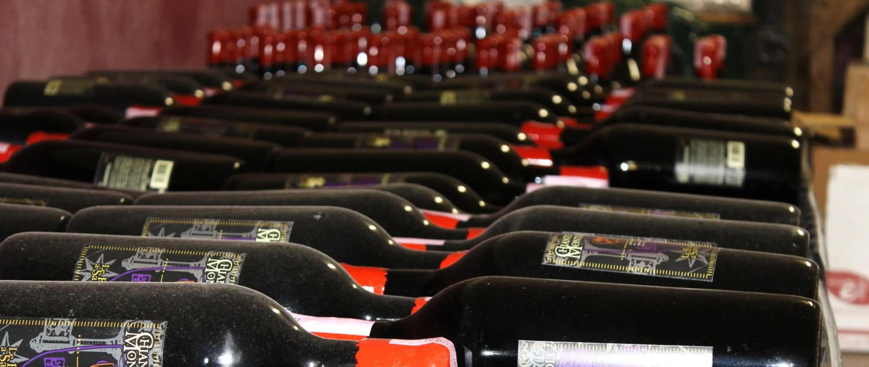 Activities in Le Fonti A San Giorgio