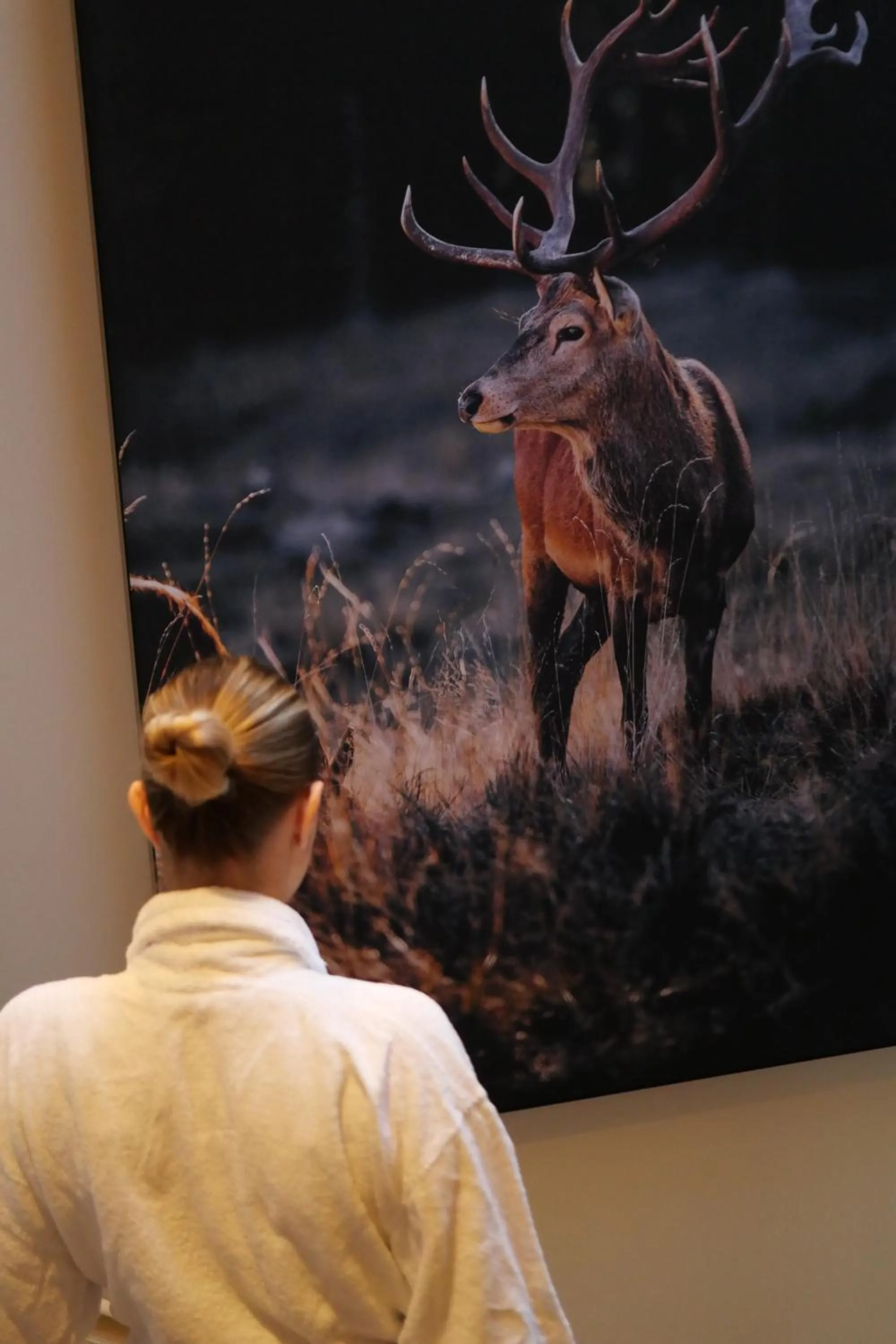 Decorative detail in Le Domaine de Bra