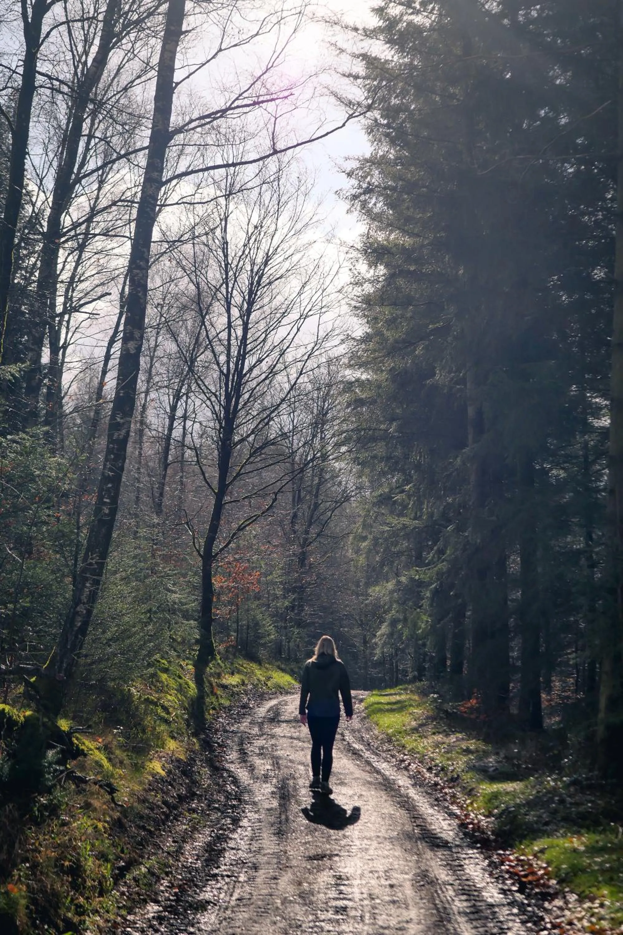 Natural landscape in Le Domaine de Bra