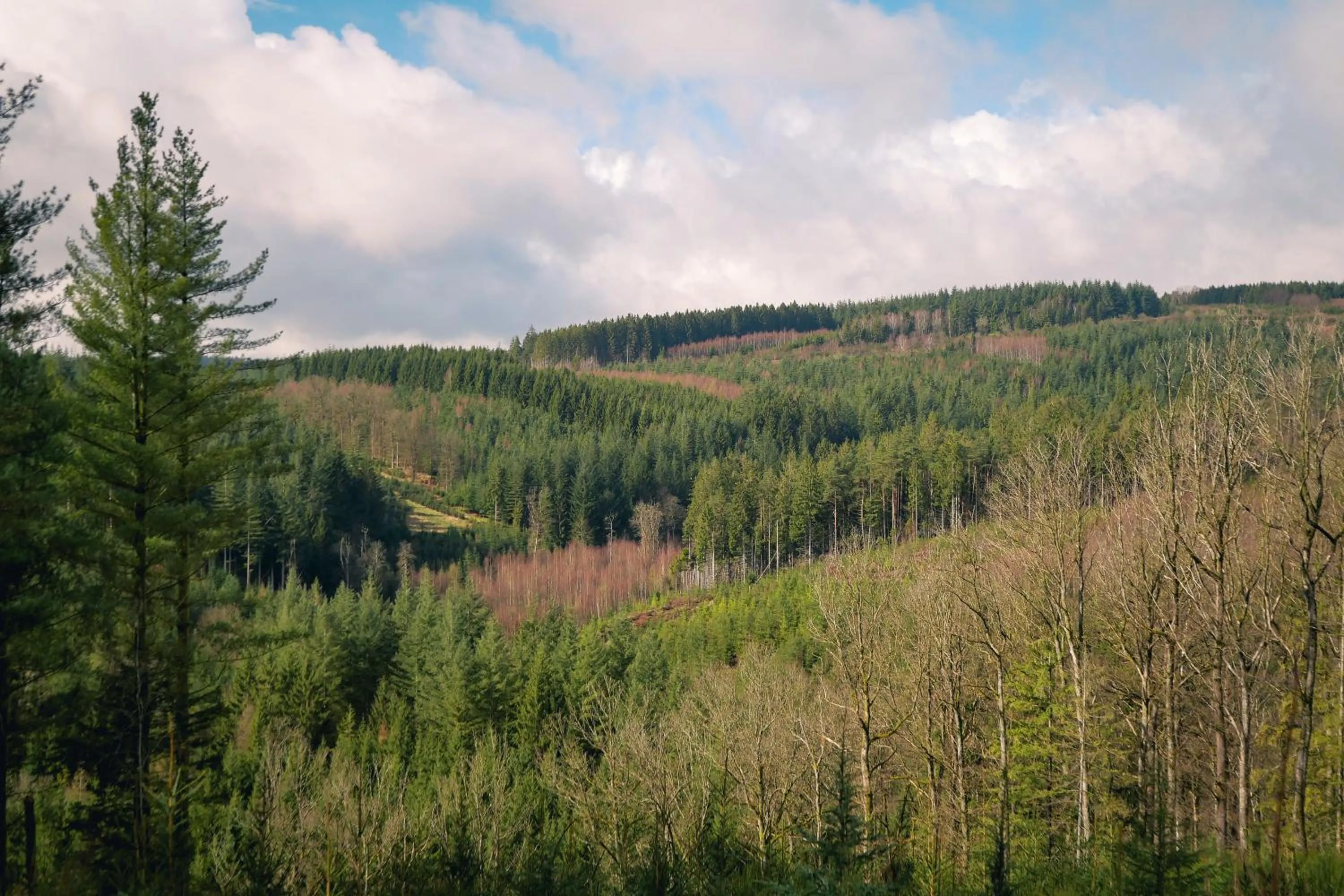 Natural landscape in Le Domaine de Bra