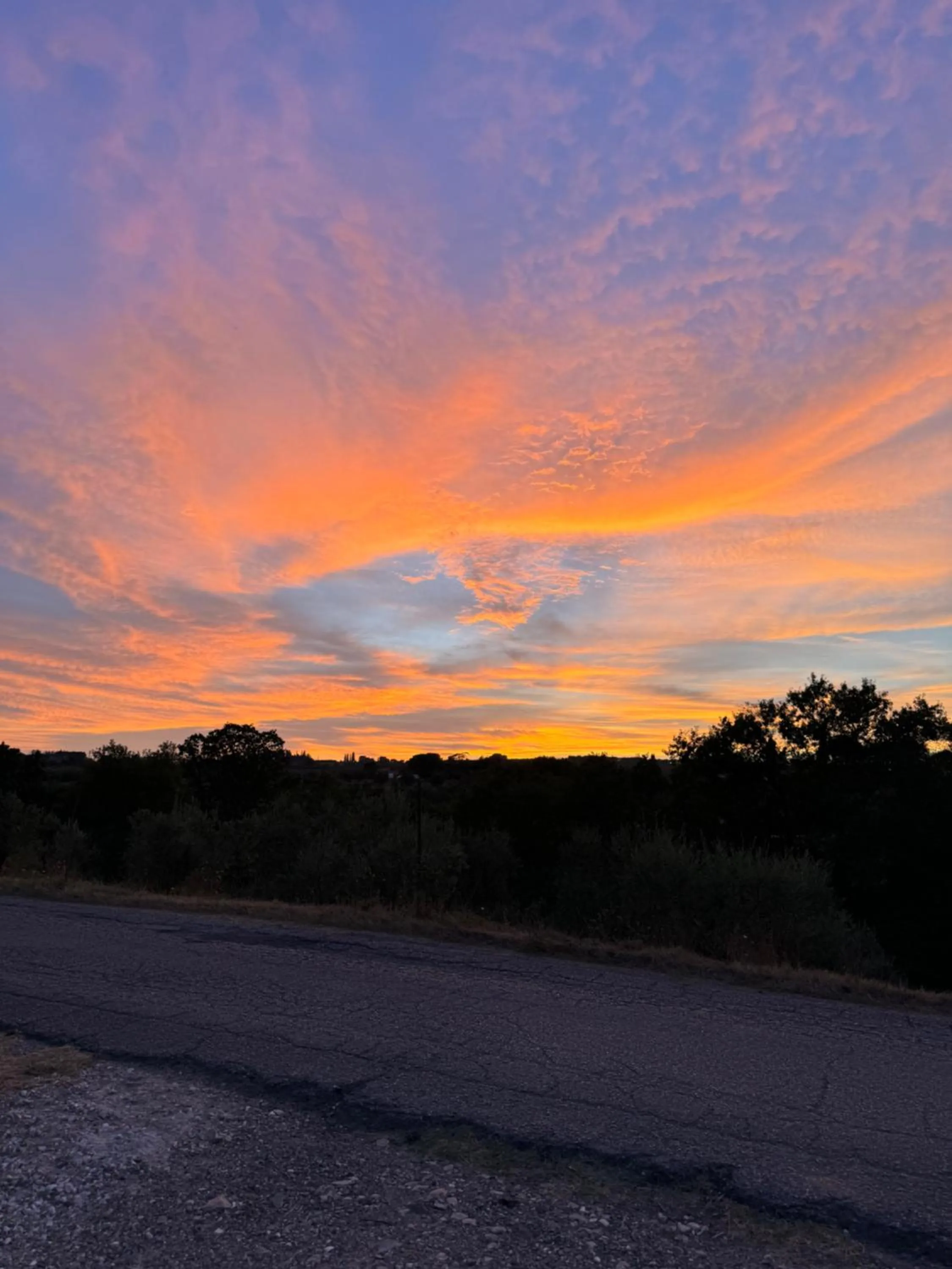 Natural landscape in Cascina De' Fagiolari