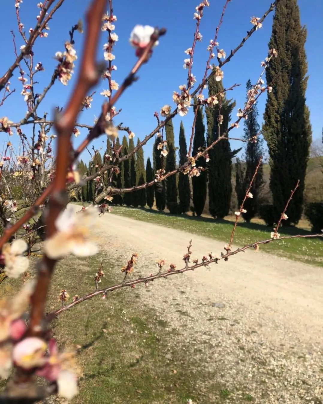 View (from property/room) in Cascina De' Fagiolari