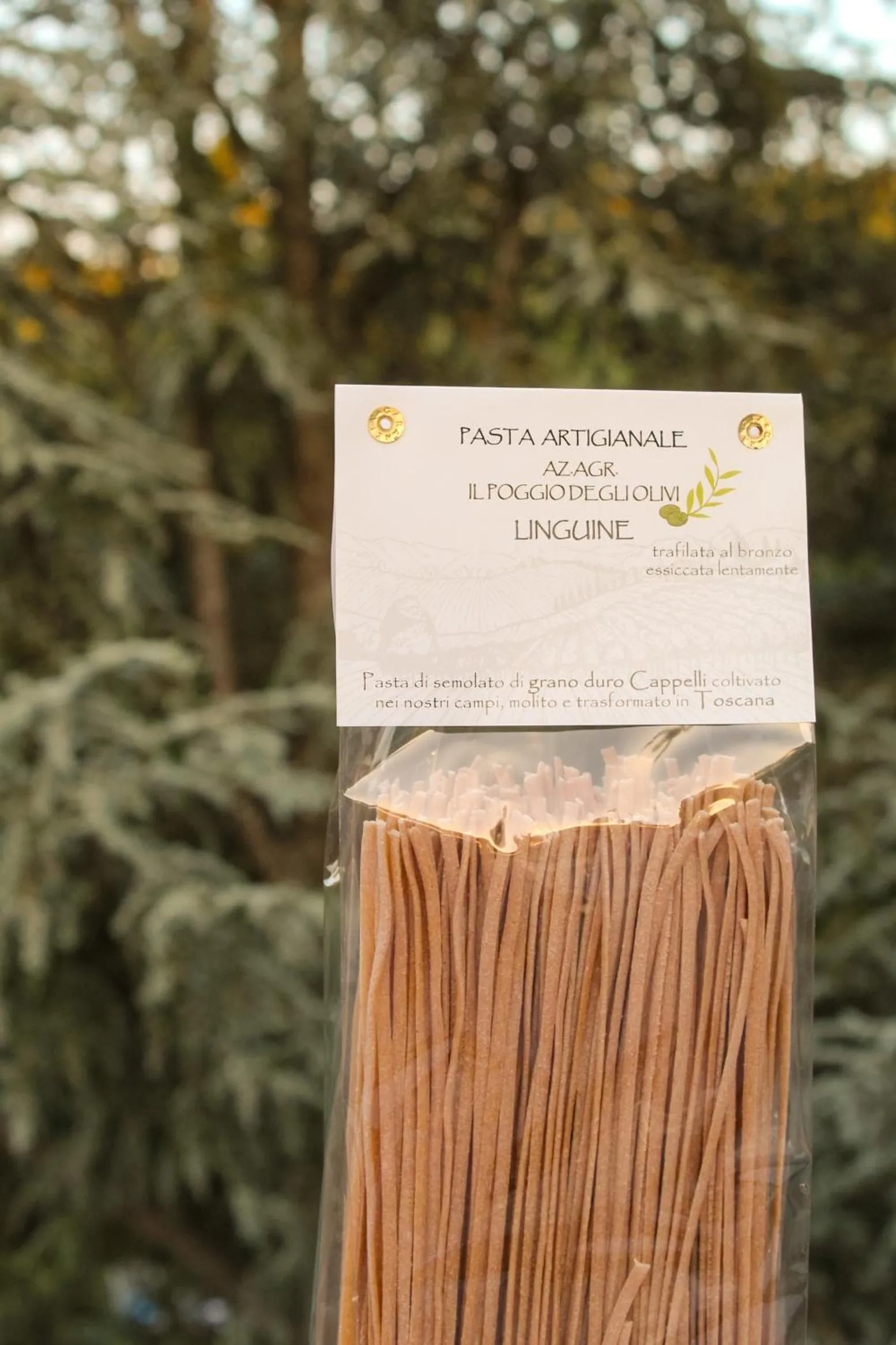 Logo/Certificate/Sign in Cascina De' Fagiolari