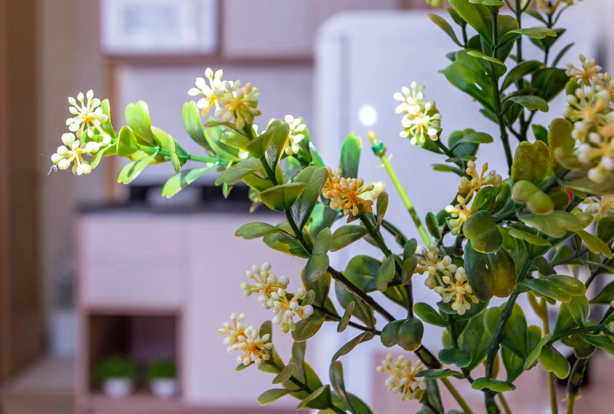 GoÁtica Aeroporto Congonhas