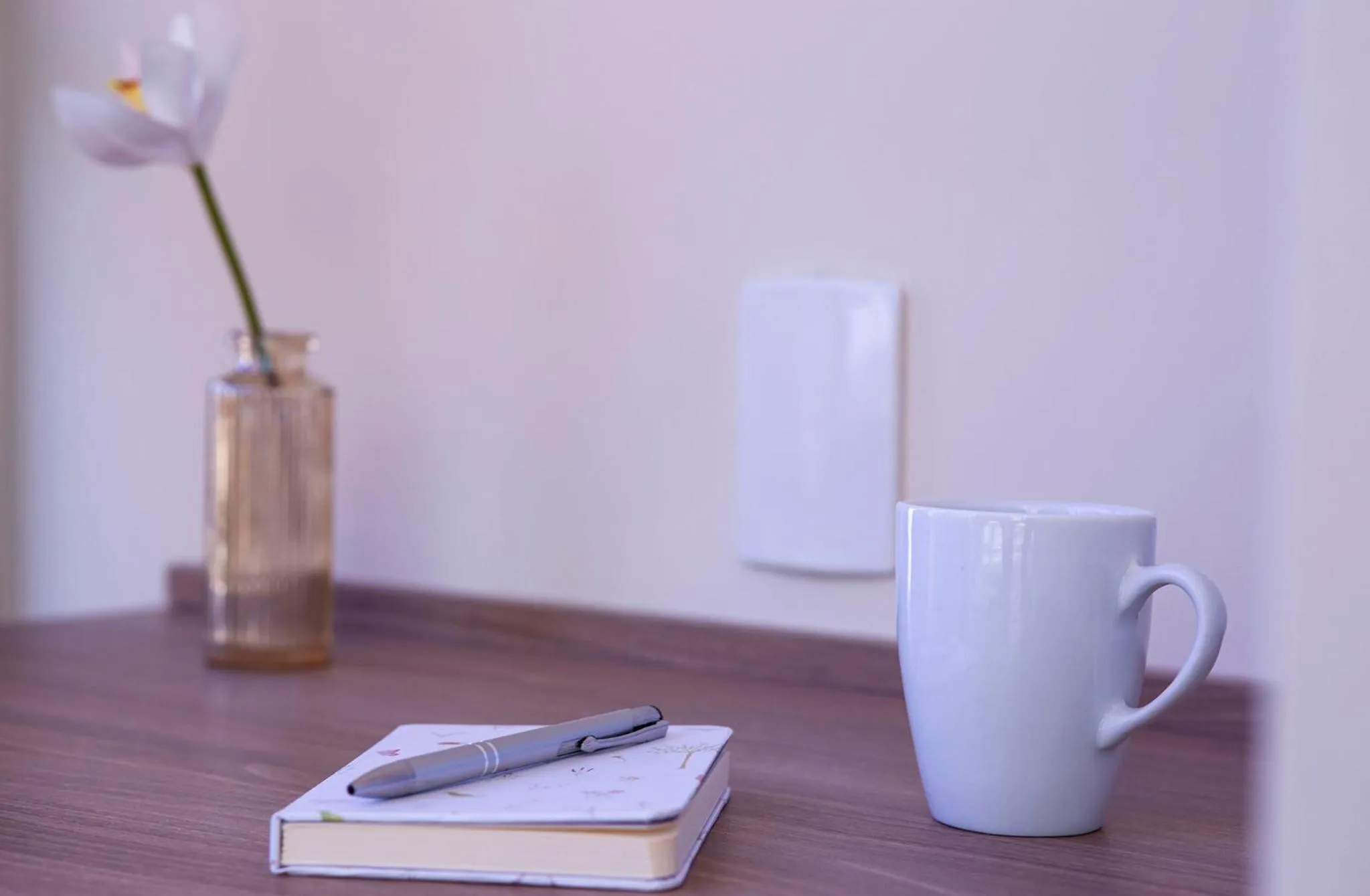 GoÁtica Aeroporto Congonhas