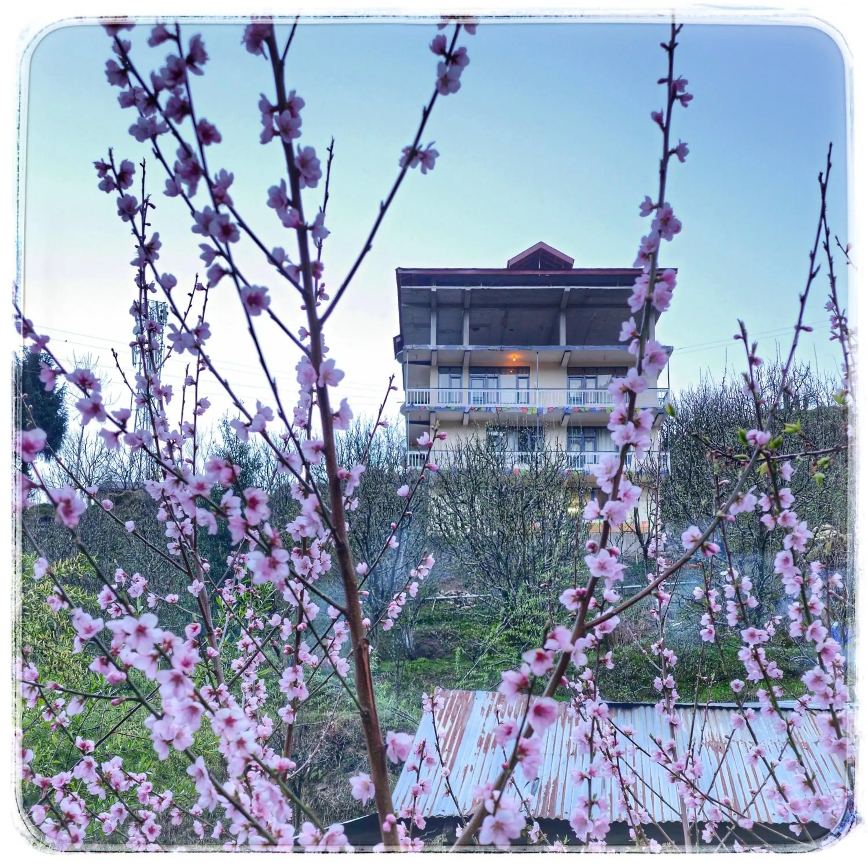 La Heim Hostels La Heim Hostels