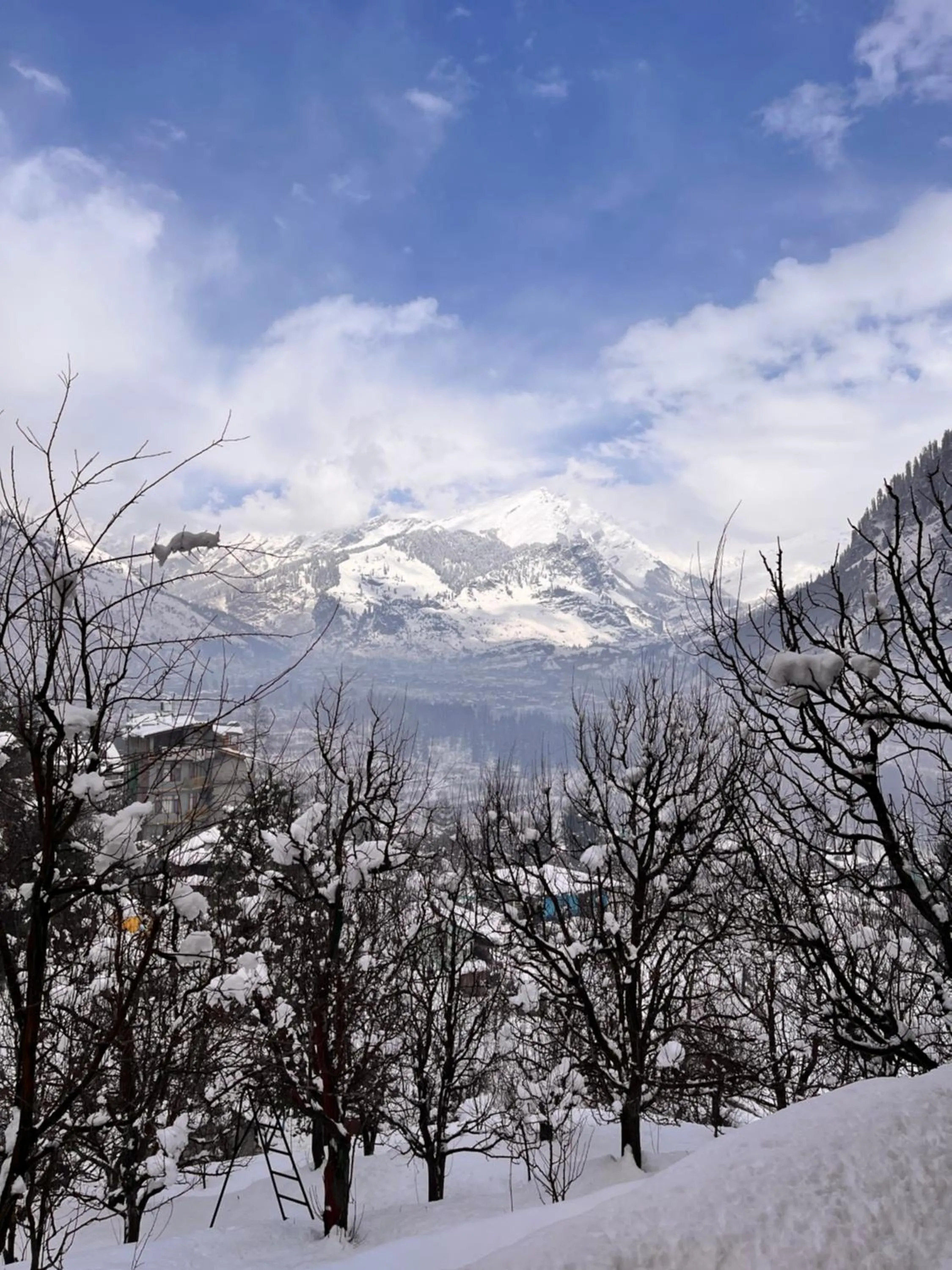 Mountain view in La Heim Hostels