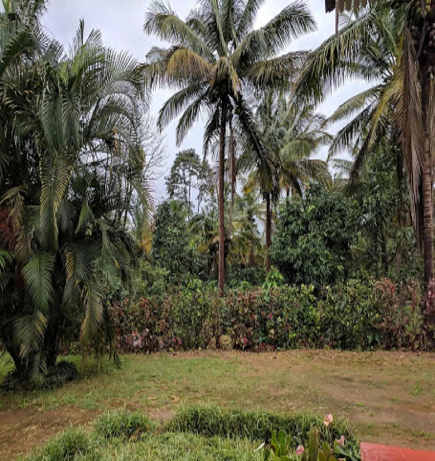 Garden view in Hasiru Farms Homestay by StayApart