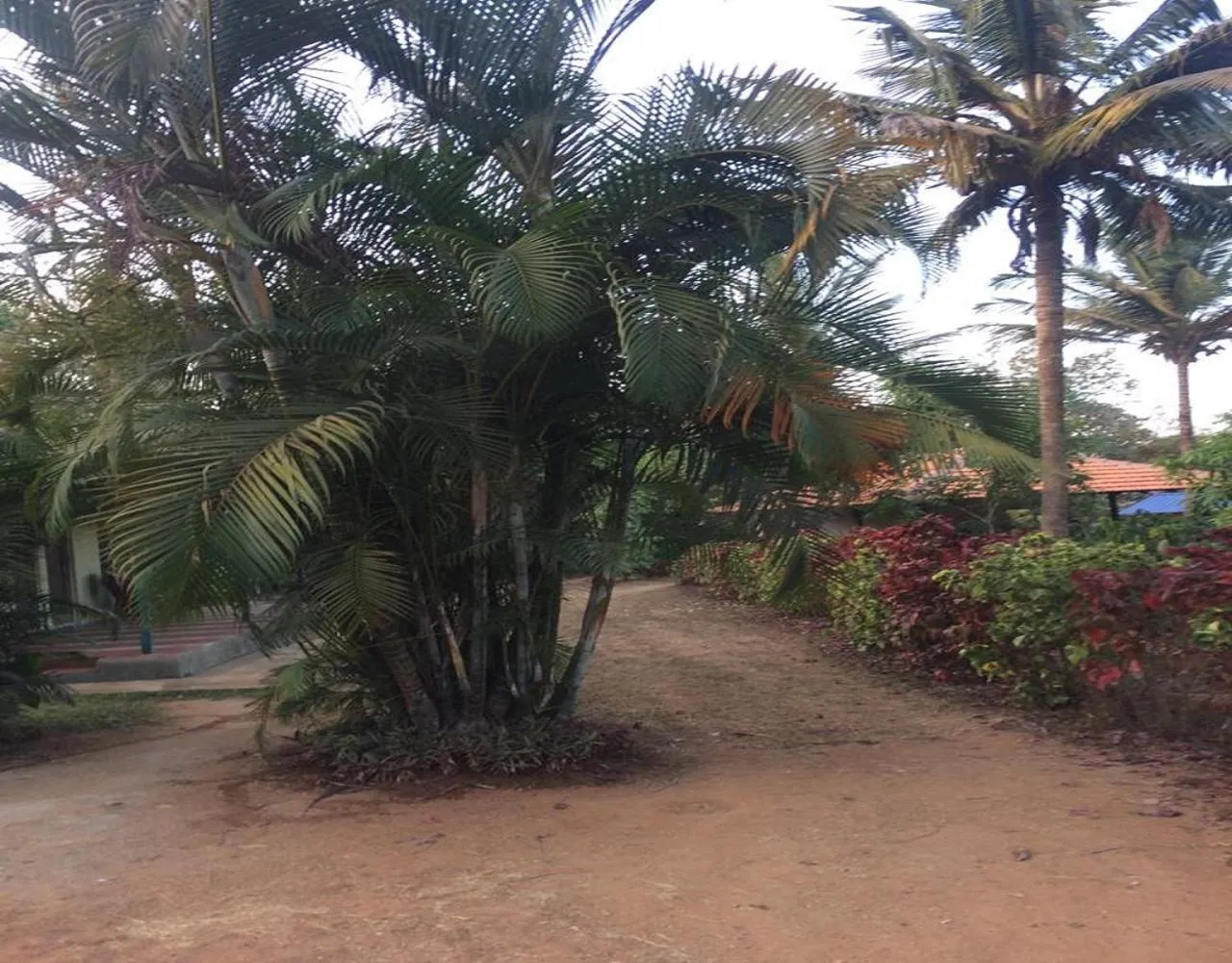 Garden view in Hasiru Farms Homestay by StayApart