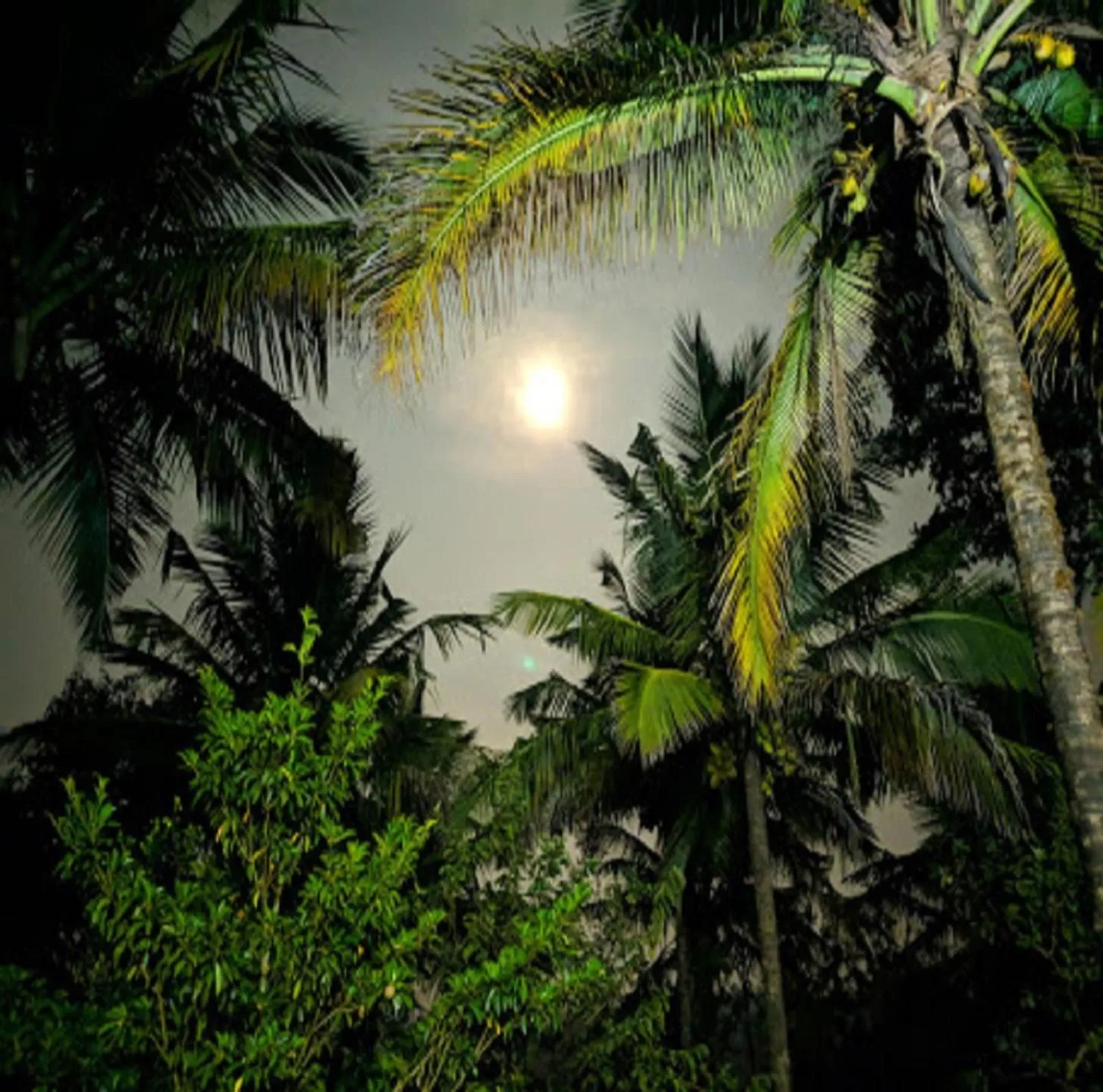 Night in Hasiru Farms Homestay by StayApart