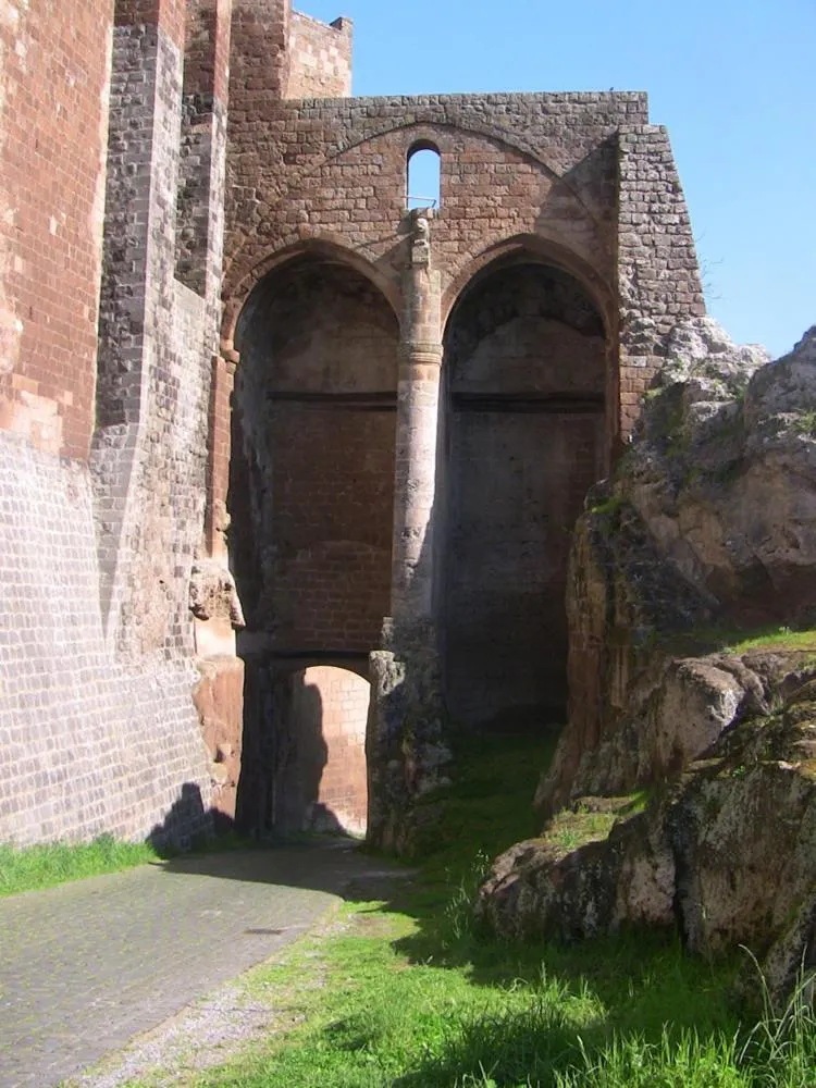 Area and facilities in Hotel Picchio