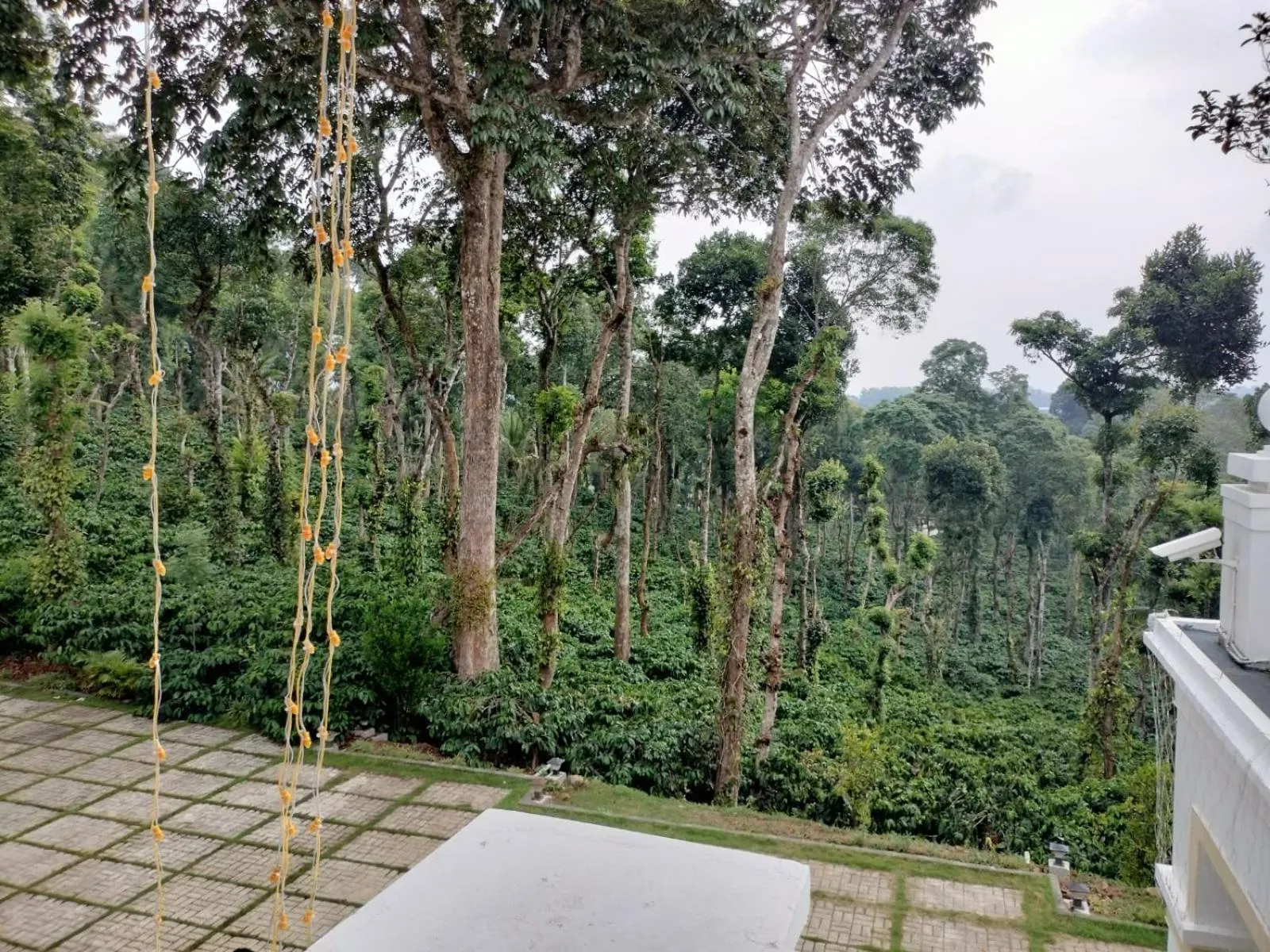 View (from property/room) in Orange Valley Plantation Holiday Coorg