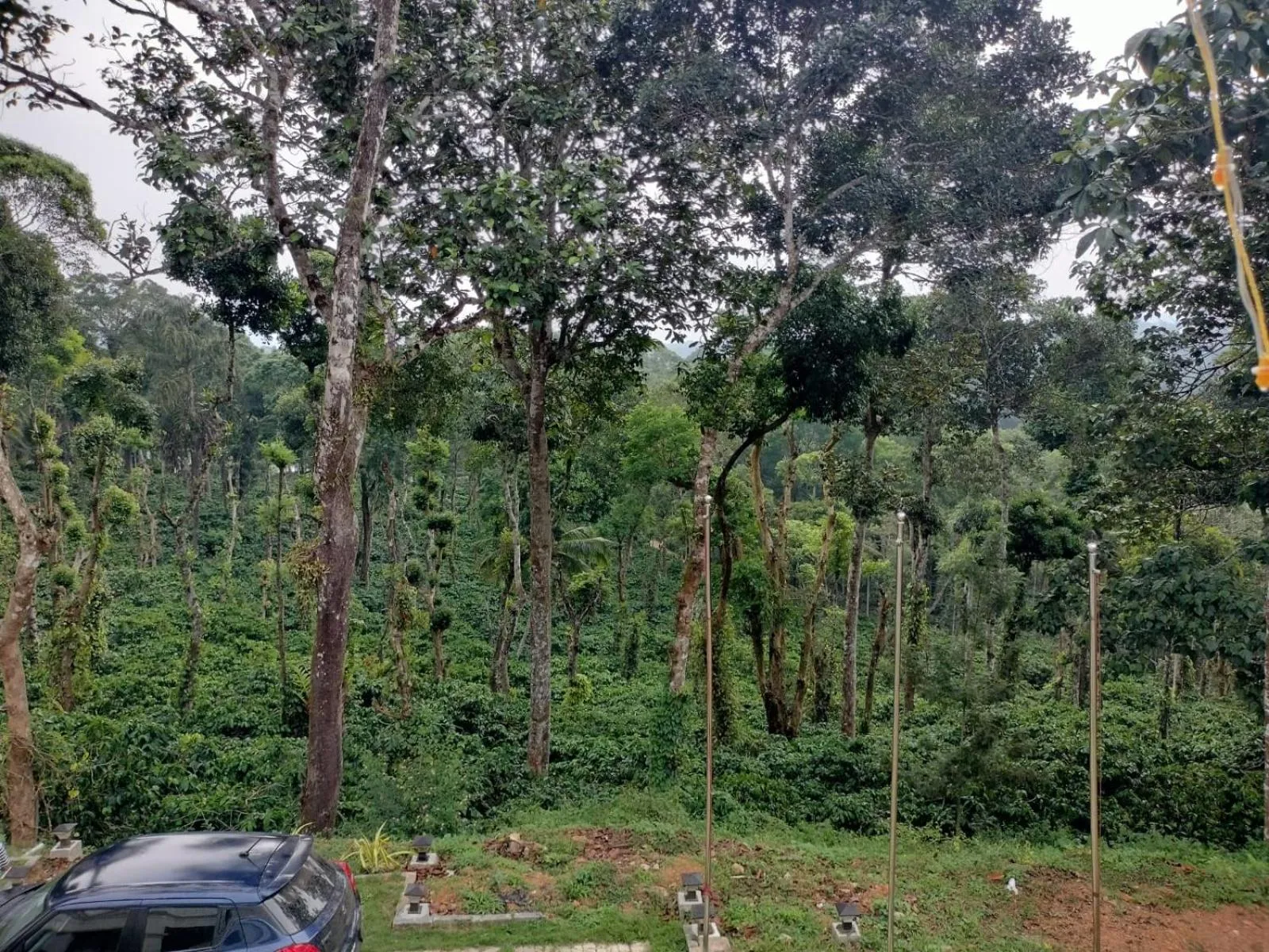 View (from property/room) in Orange Valley Plantation Holiday Coorg