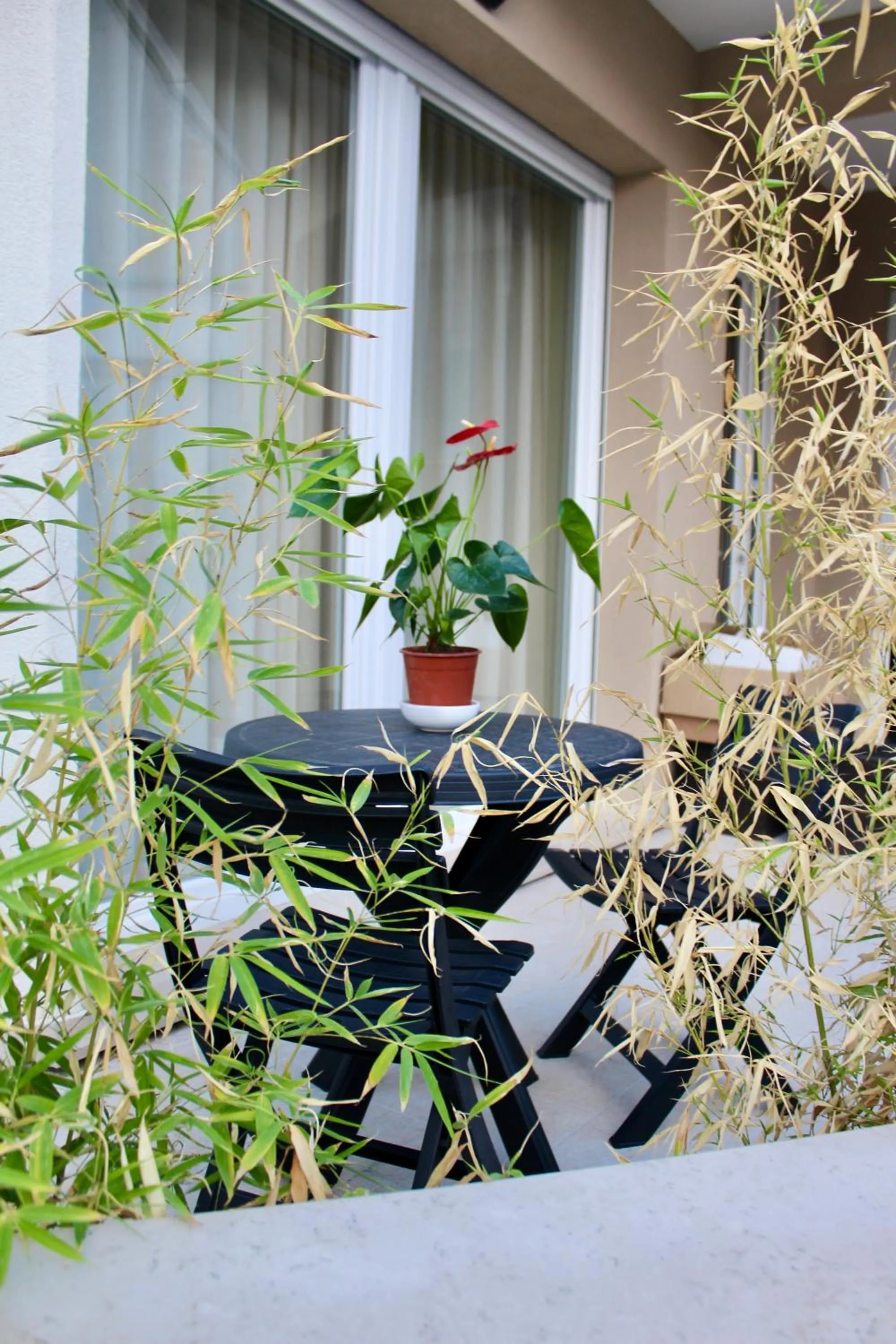 Garden in B&B Salsedine e Girasoli