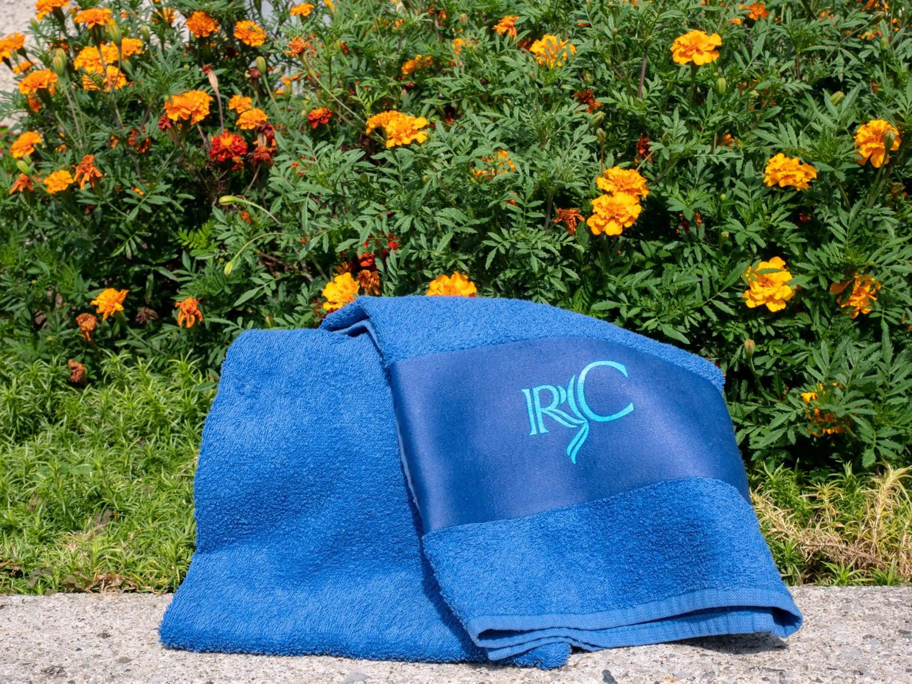 Area and facilities in Residence Celeste