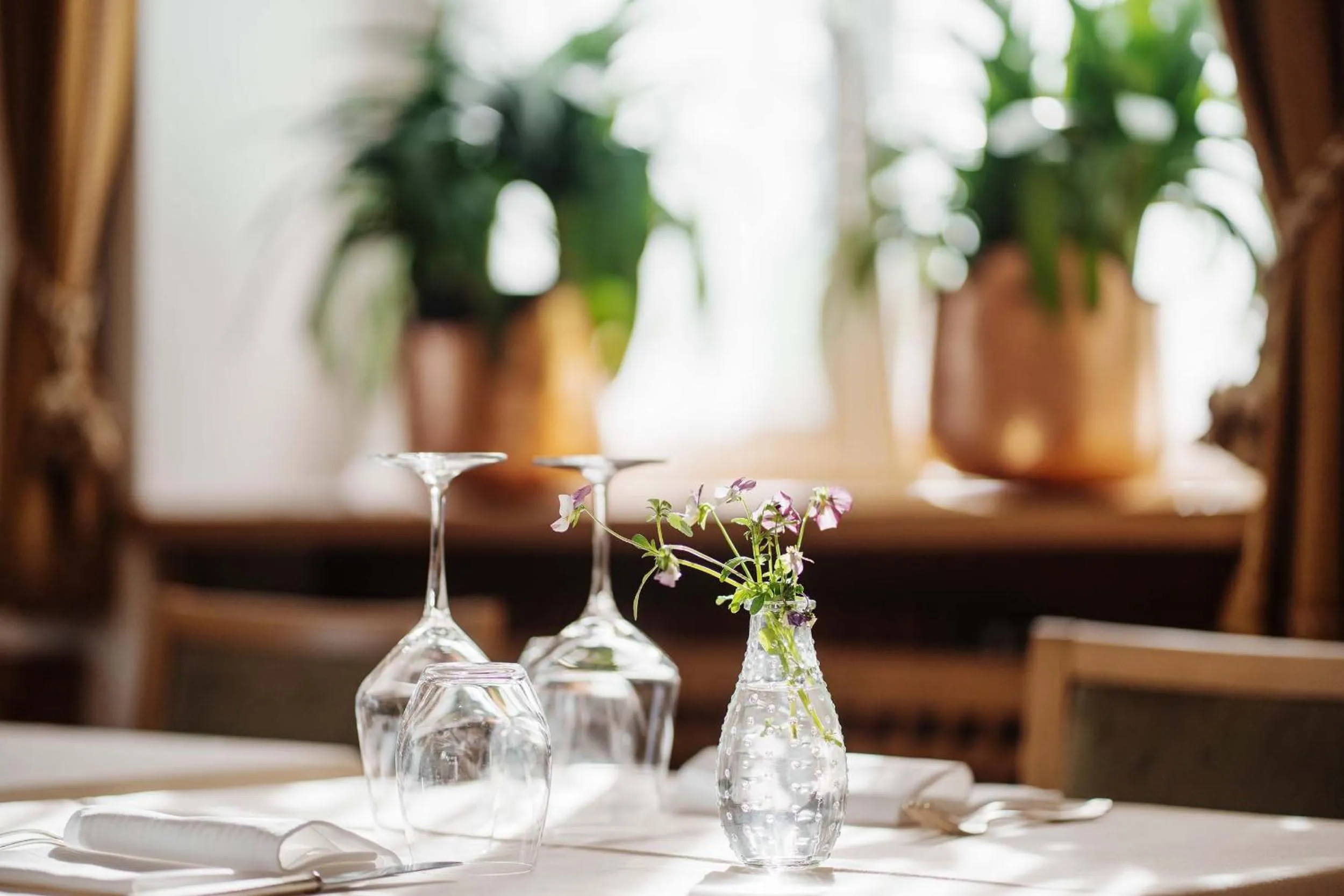 Food and drinks in Hotel Menardi