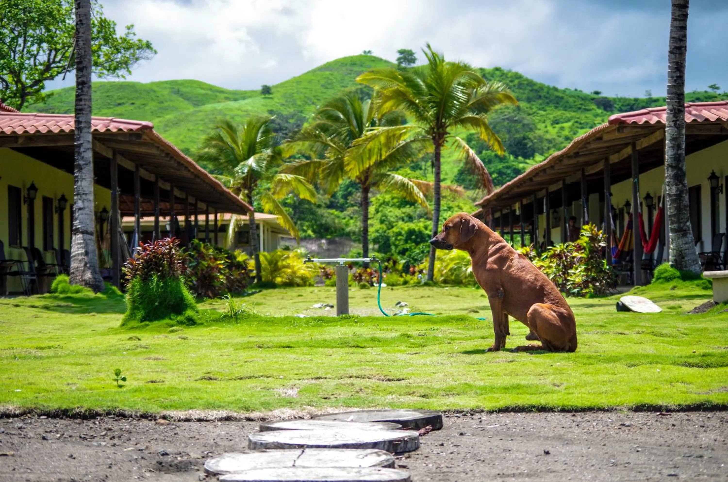 Facade/entrance in Beach Break Hotel & Surf Camp de Playa Venao