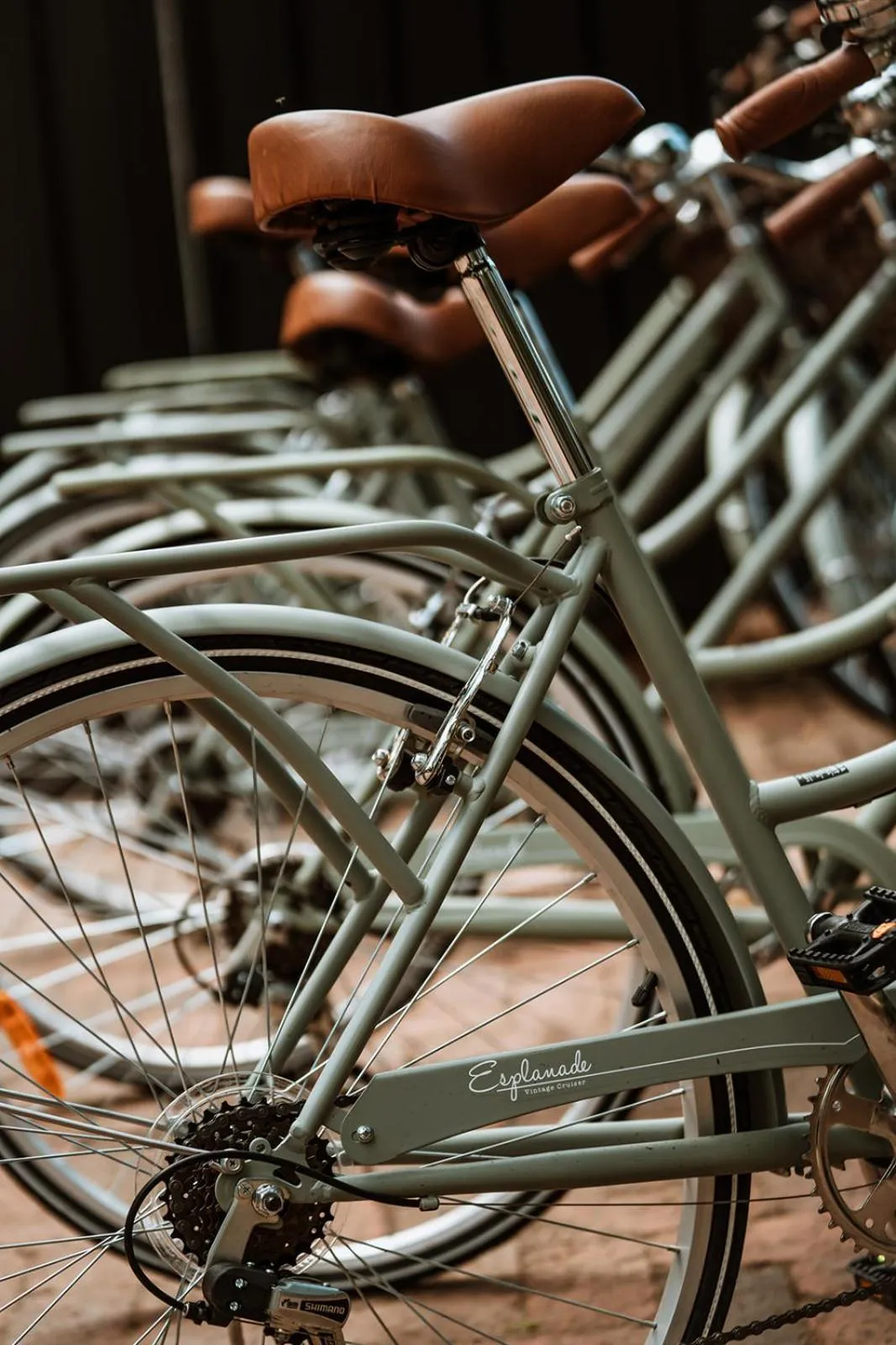 acessibility in The Lodge Jamberoo