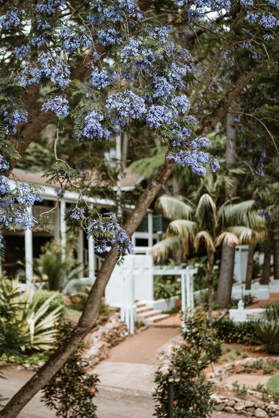 Garden in The Lodge Jamberoo