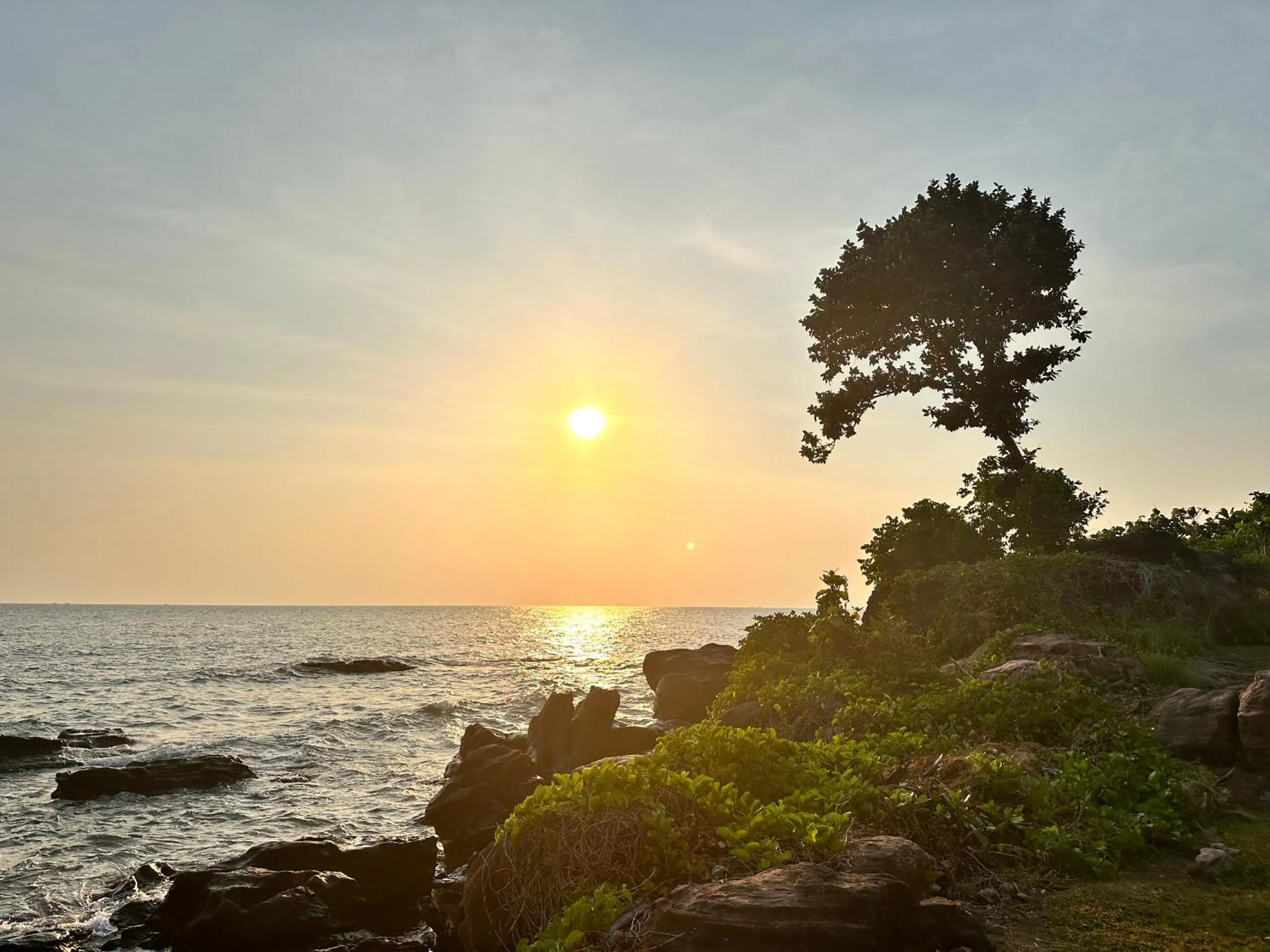 Natural landscape in Sea Sense Resort