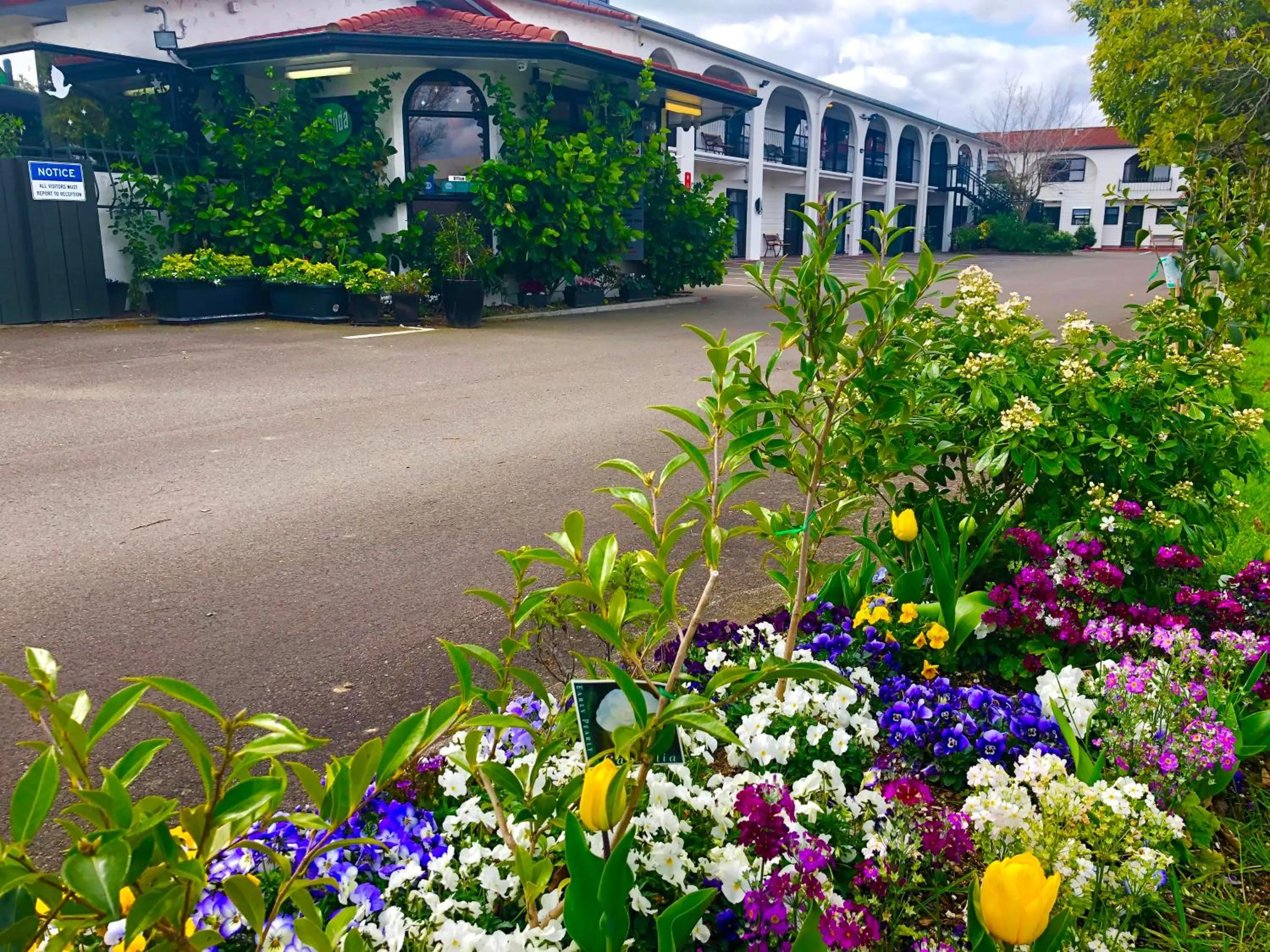 Property building in Hacienda Motor Lodge