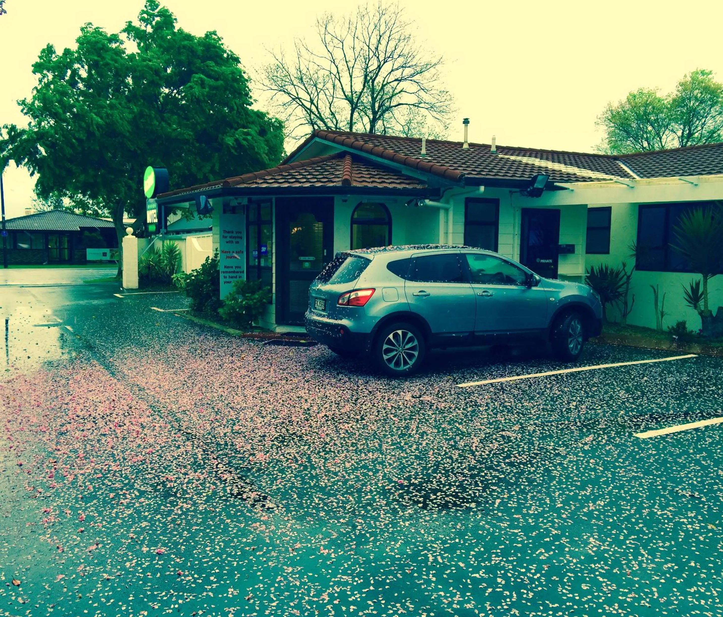 Autumn in Hacienda Motor Lodge