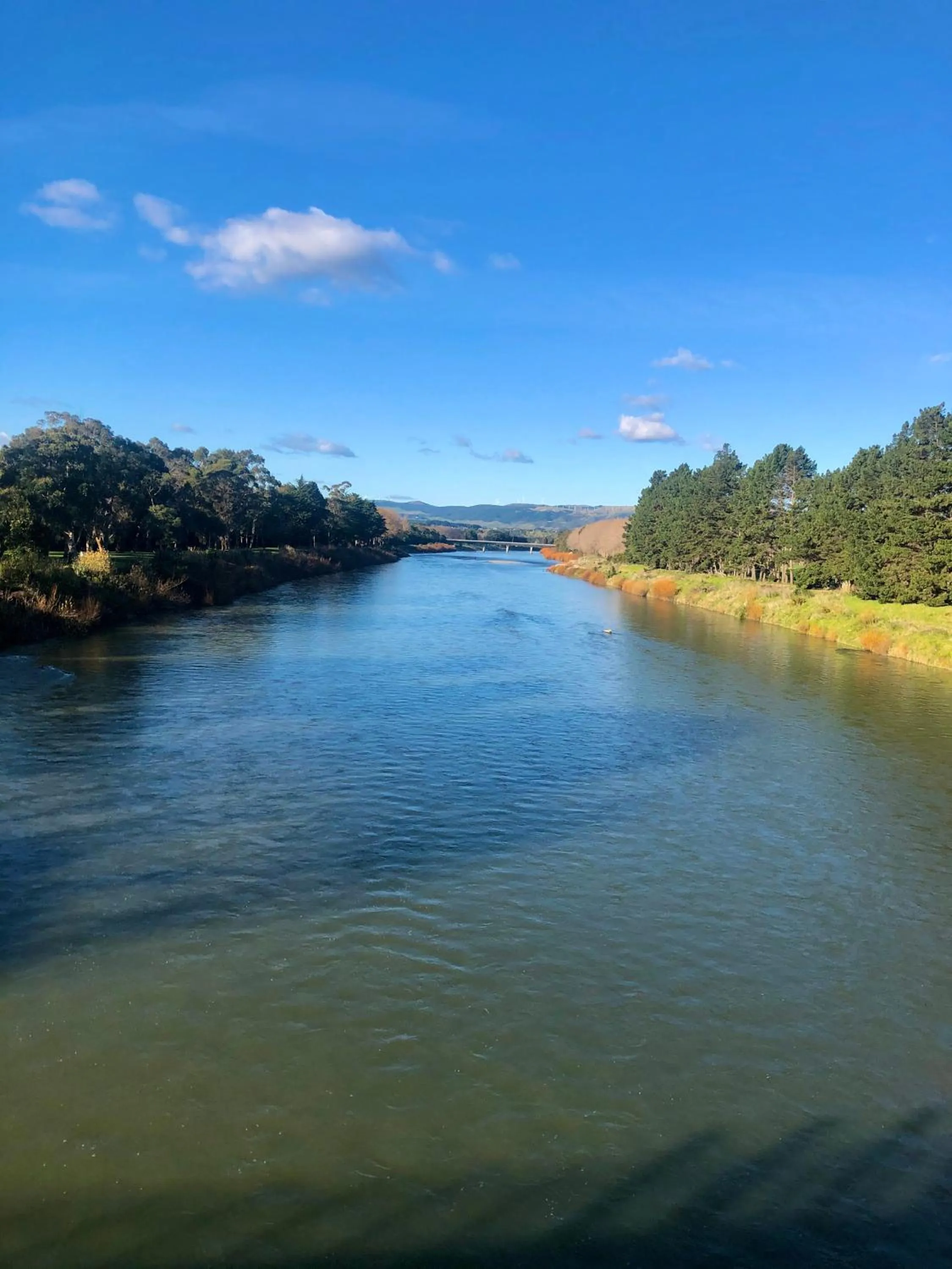 Natural landscape in Hacienda Motor Lodge